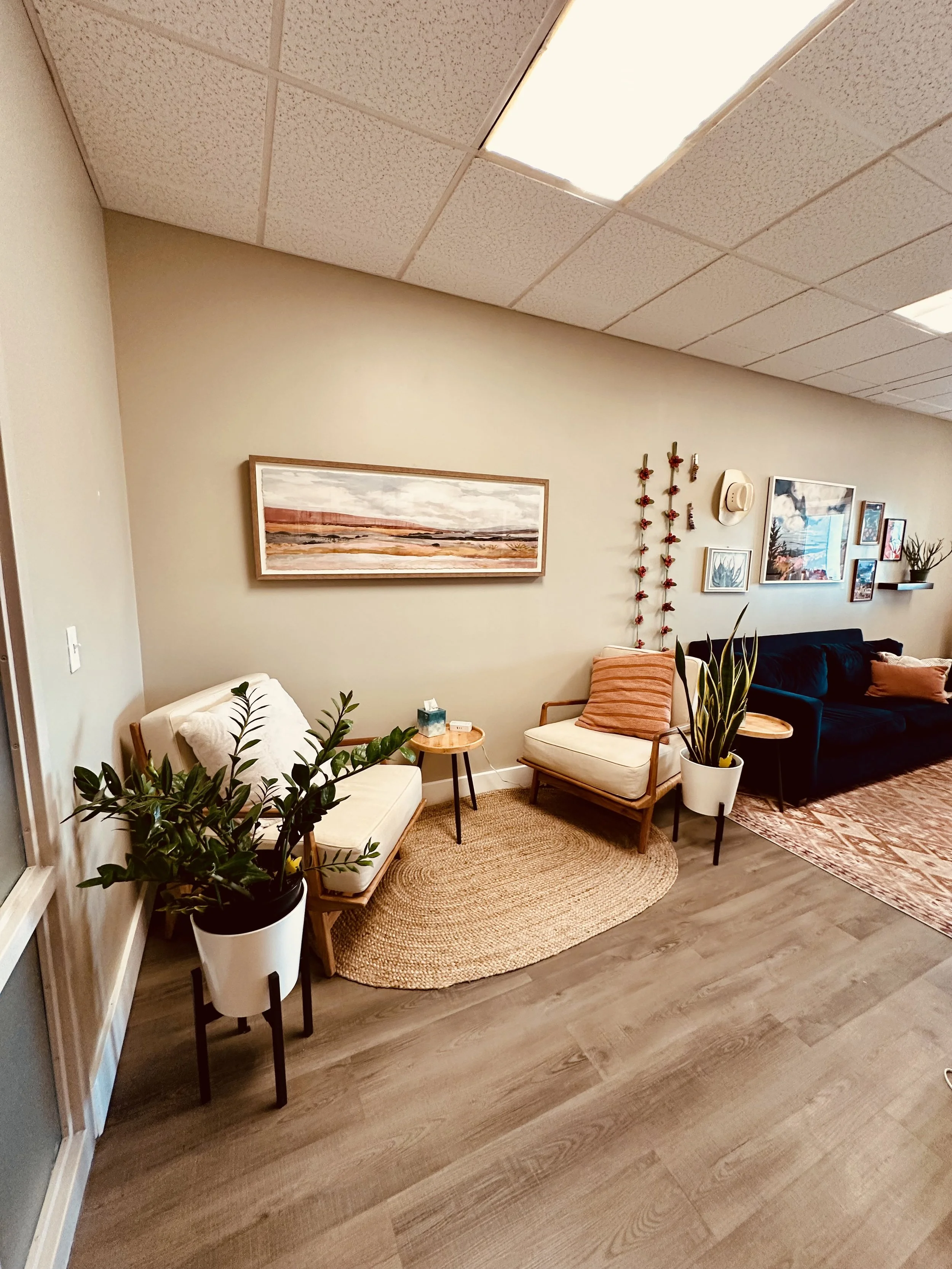 Two chairs angled towards each other on rope rug with a plant by each. Desert themes picture above them. Behind you can see pictures on the wall with a blue couch underne