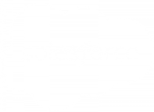 SalesForce White Logo