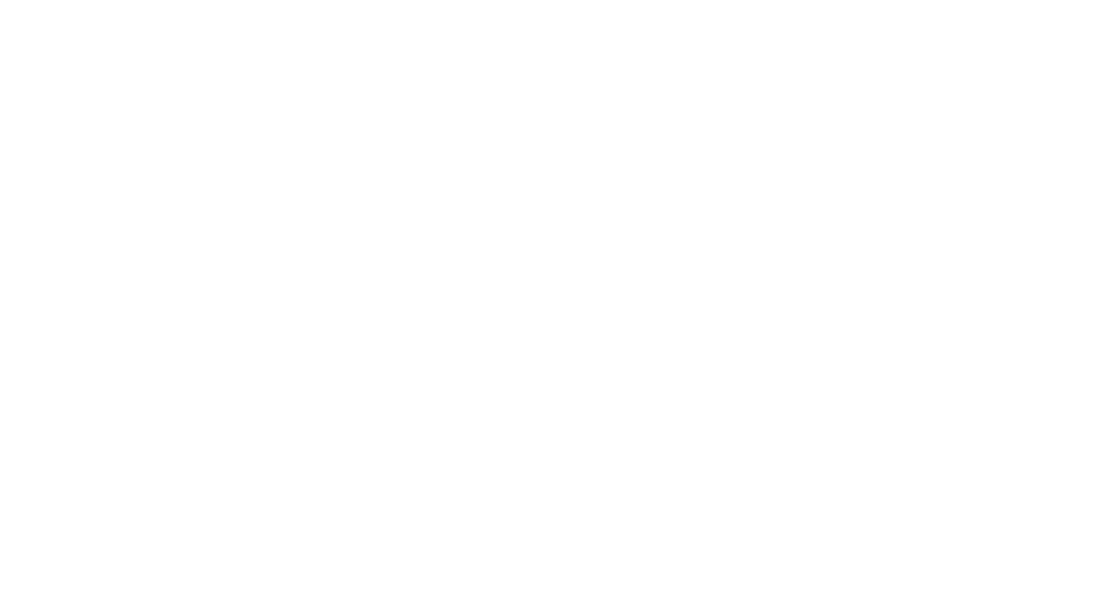 Ford White Logo