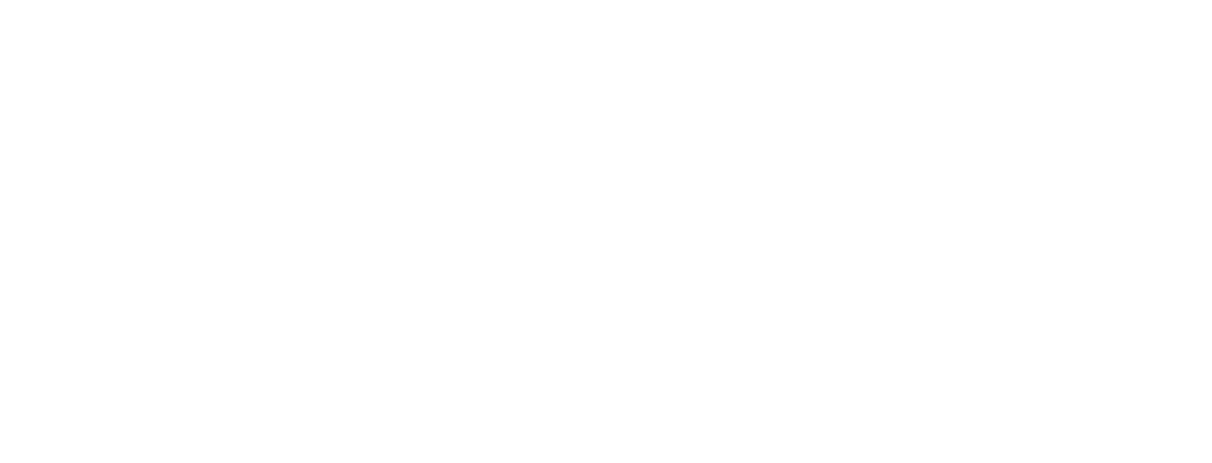 National Alliance on Mental Illness White Logo