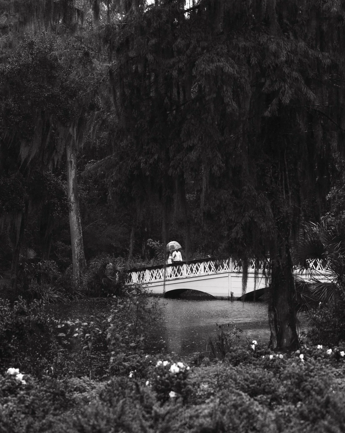 Rainy days @magnoliaplantation 🤍

.
.
.
.
. 
#proposals #proposalphotographer #charlestonproposal #rainyproposal #wedding #weddingphotography #weddingphotographers #chsphotography #charlestonwedding #charlestonweddingphotographer #charlestonweddingp