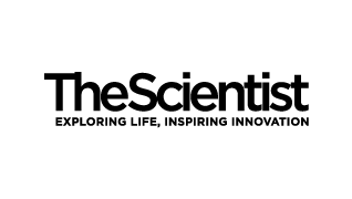 New Initiative Aims to Revive Stalled Rare Disease Therapies