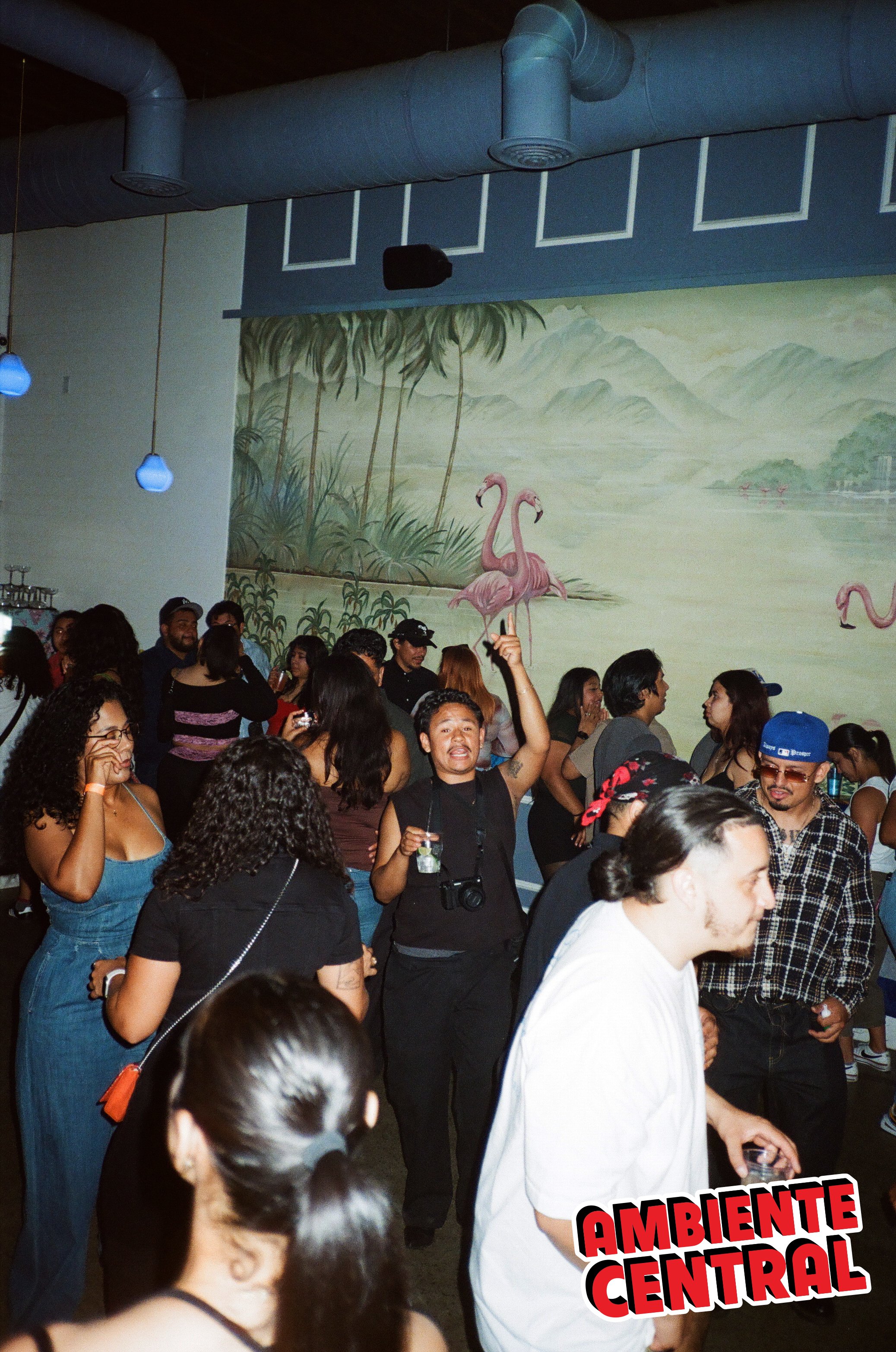 Photo by @FILMDOTORG