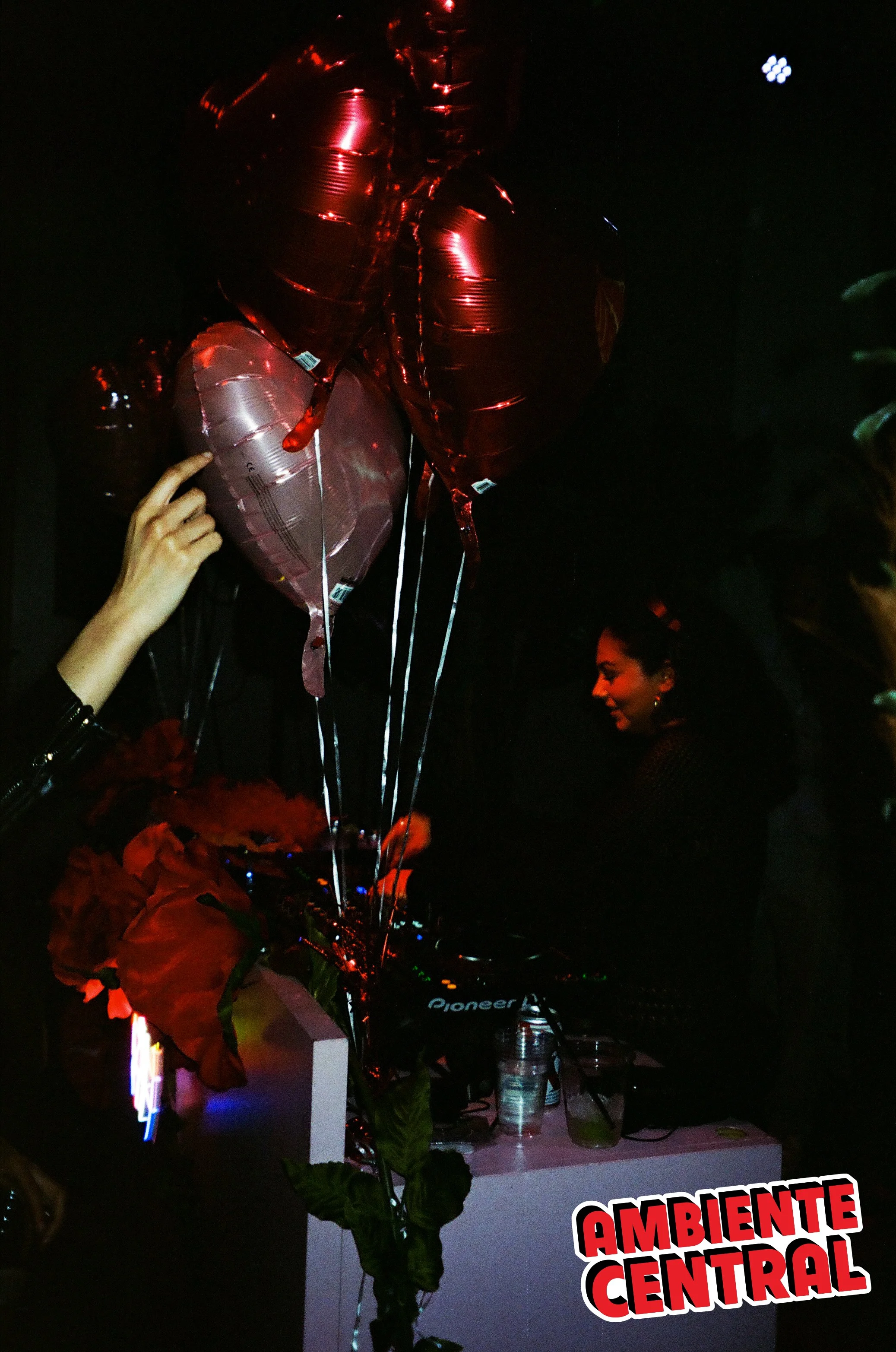 Photo by @FILMDOTORG