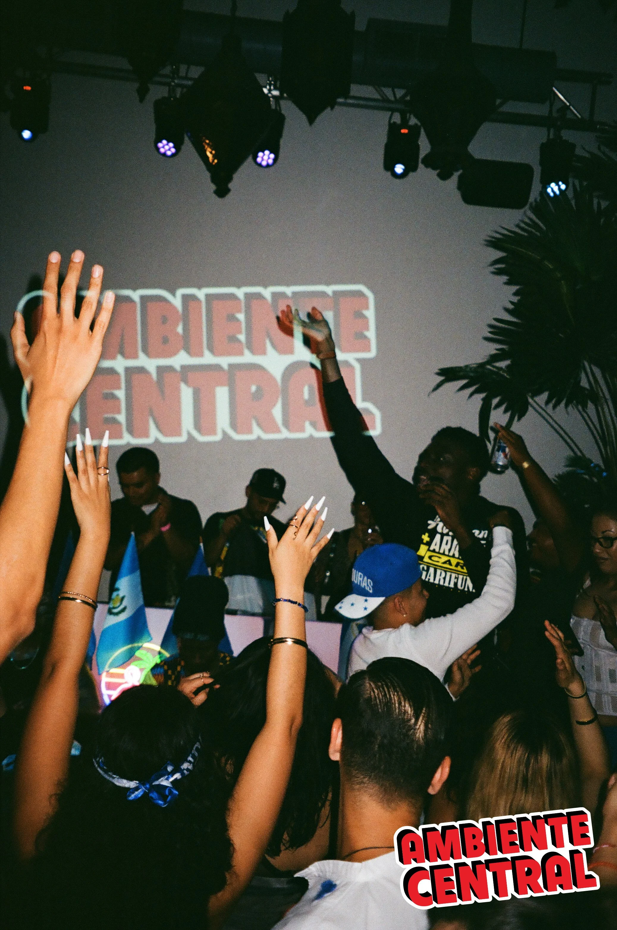 Photo by @FILMDOTORG