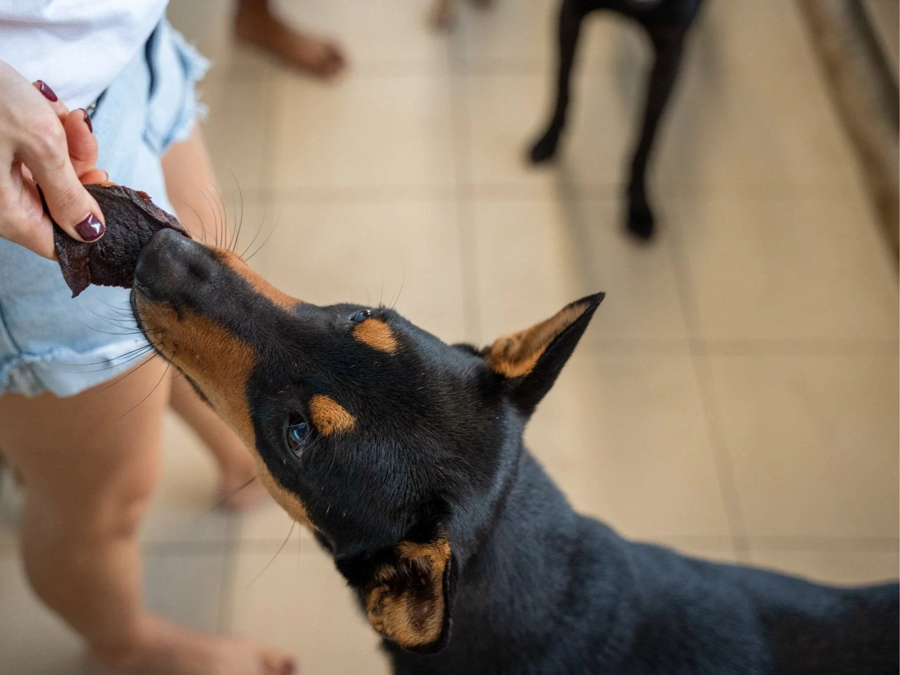 A7403530-WEBSITE-2048JPEG80.jpg