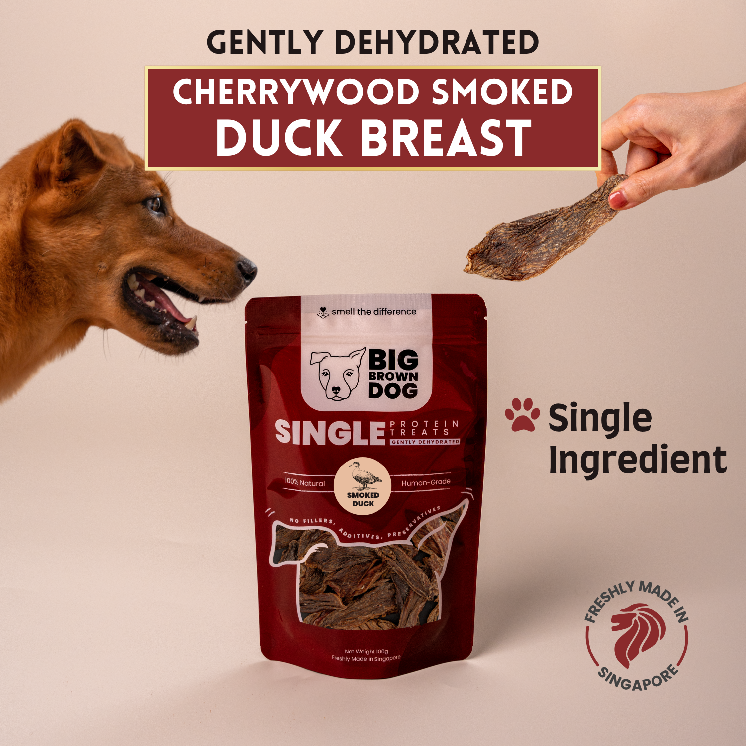 DUCK - SMOKED SQ (2).png