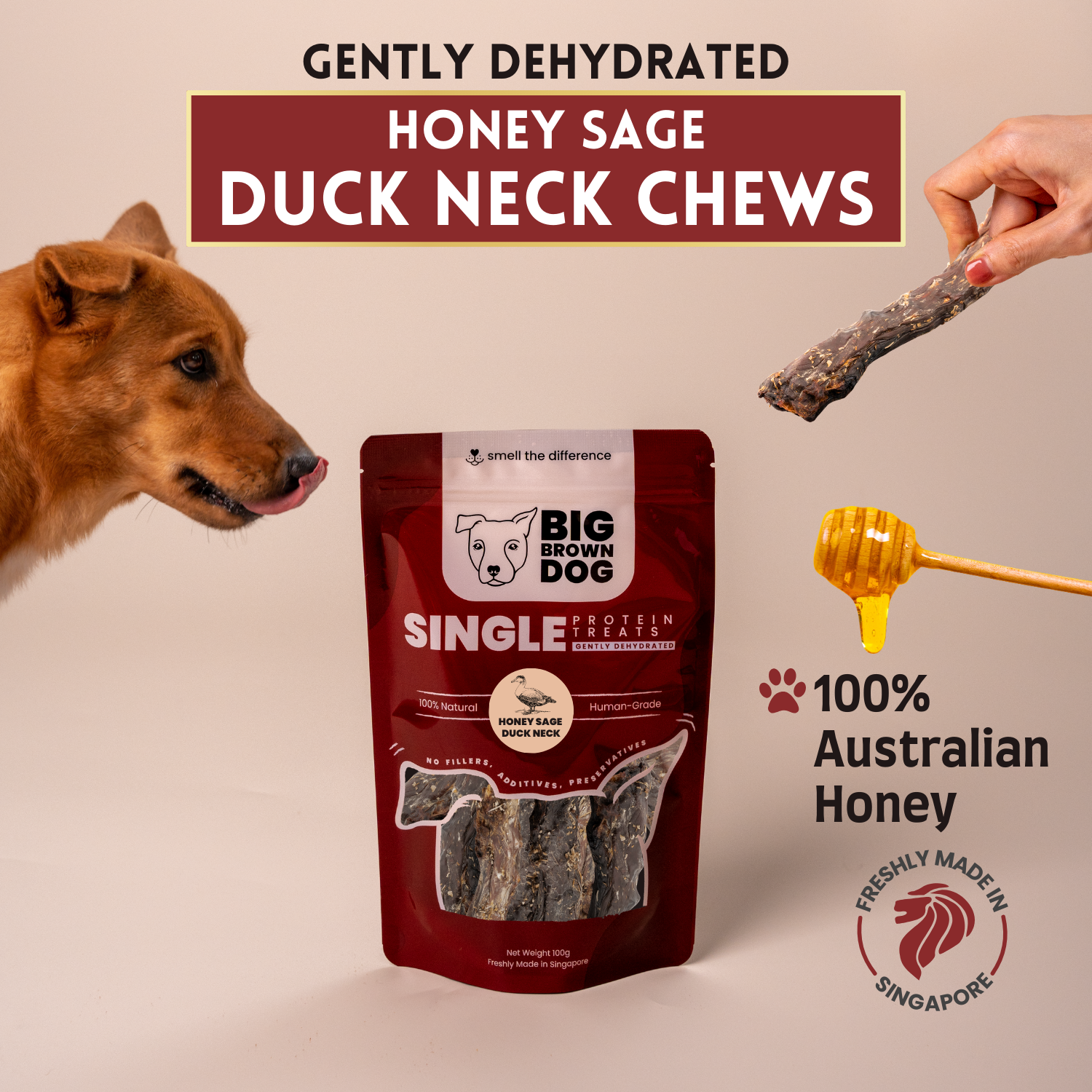 DUCK NECK - HONEY SAGE SQ (1).png