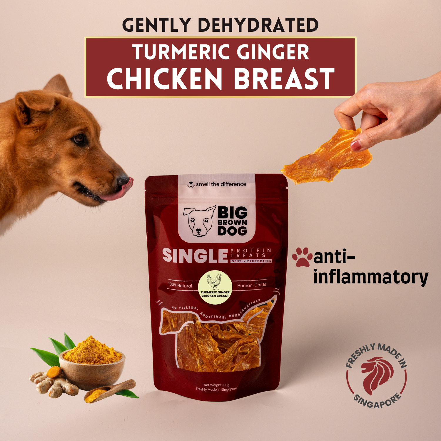 CHICKEN - TURMERIC GINGER SQ.png