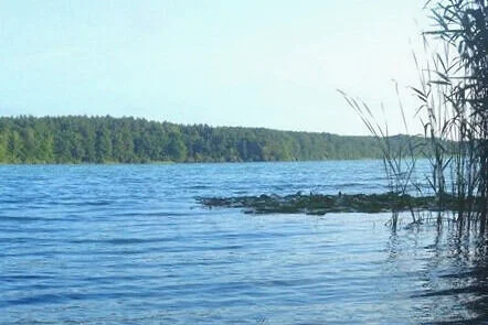 Kladow &amp; Sacrower See