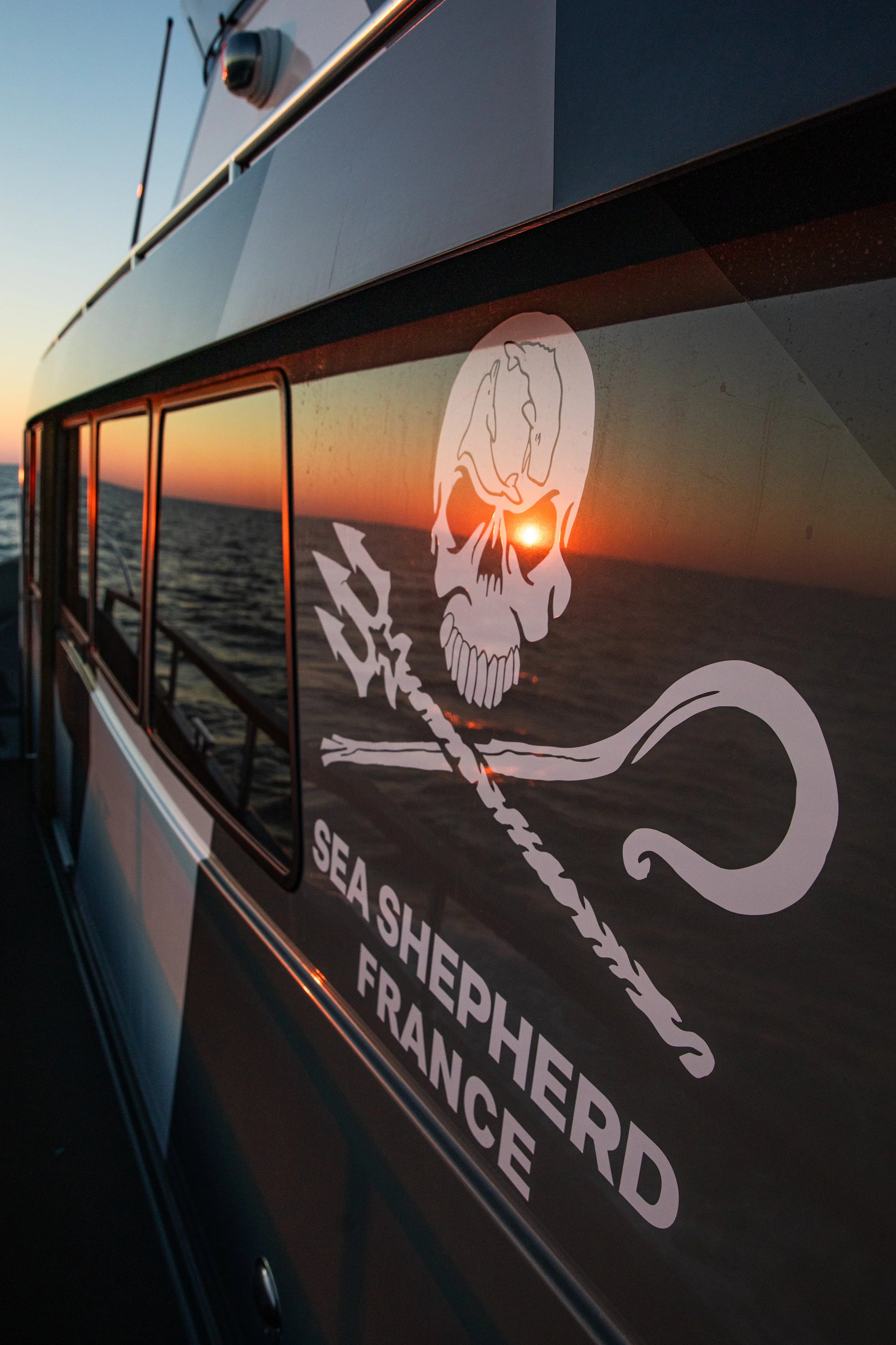 260319-DBC12-sun in jolly roger-20260319-FAV_5427.jpg