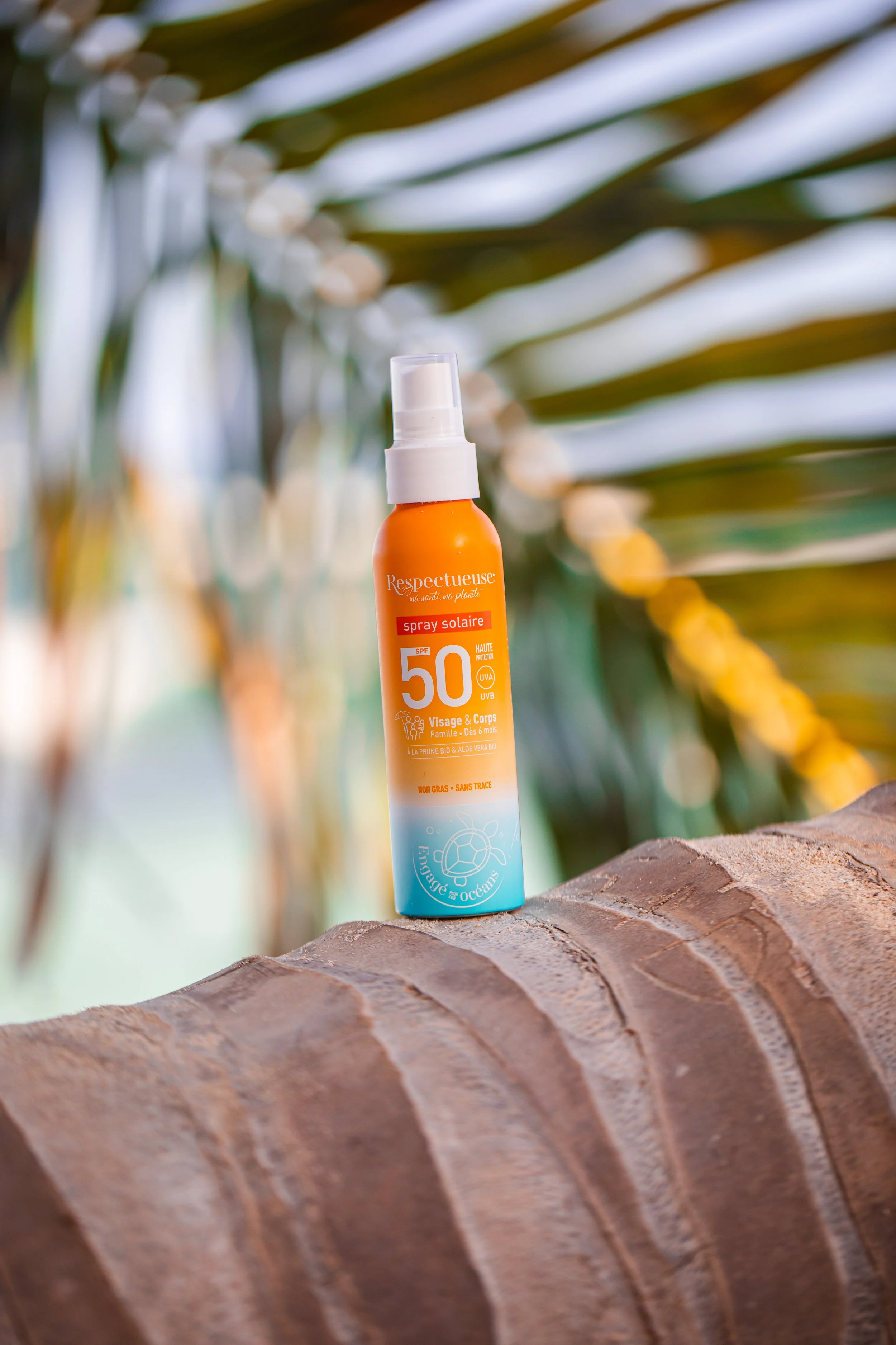 251212---FAV_3166-SWIM FOR CHANGE.jpg