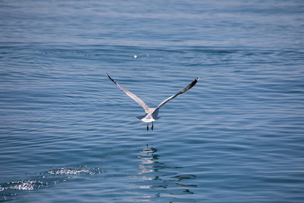 AF - FAV - Photo Website Selection 2023 (19).jpg
