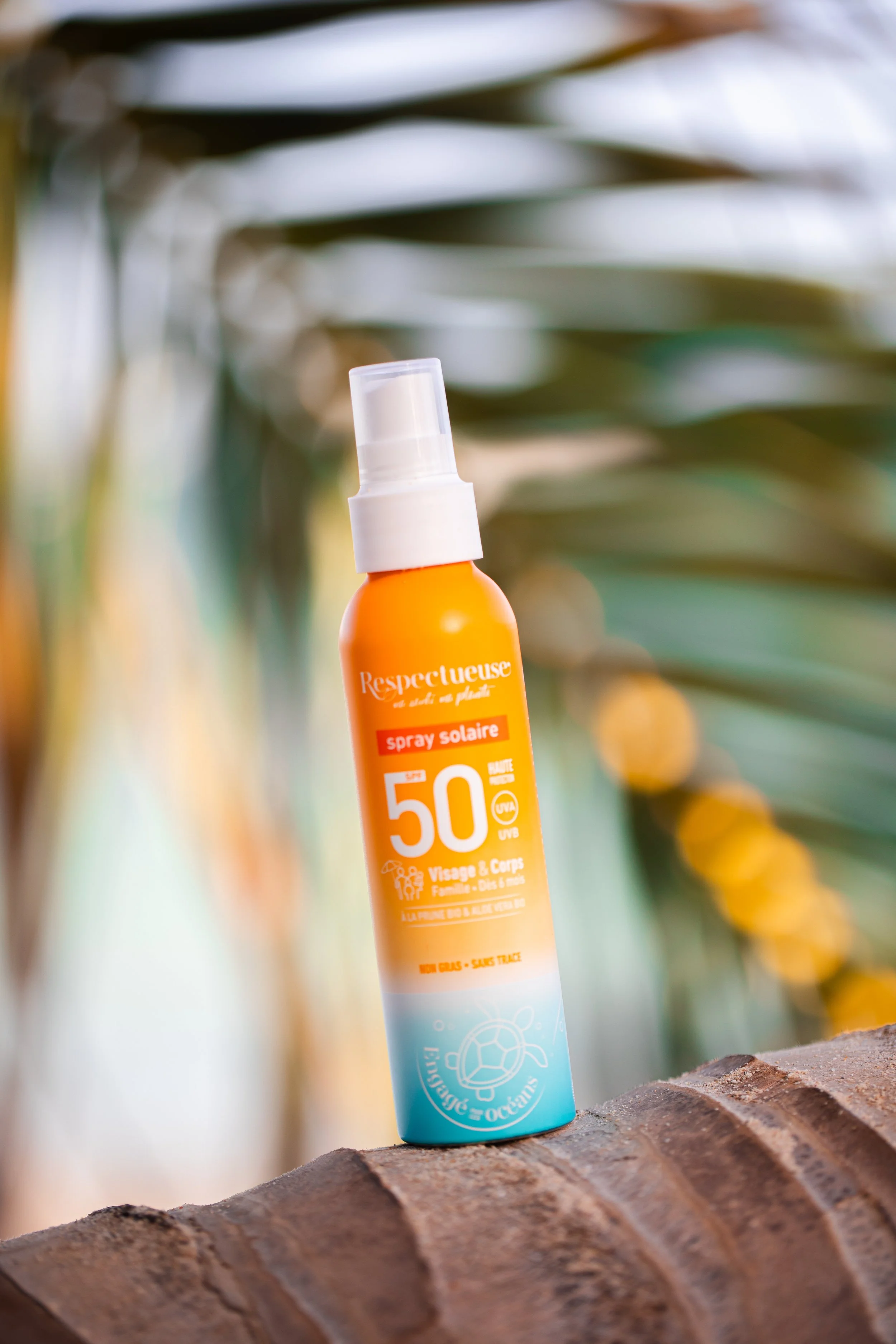 251212---FAV_3191-SWIM FOR CHANGE.jpg