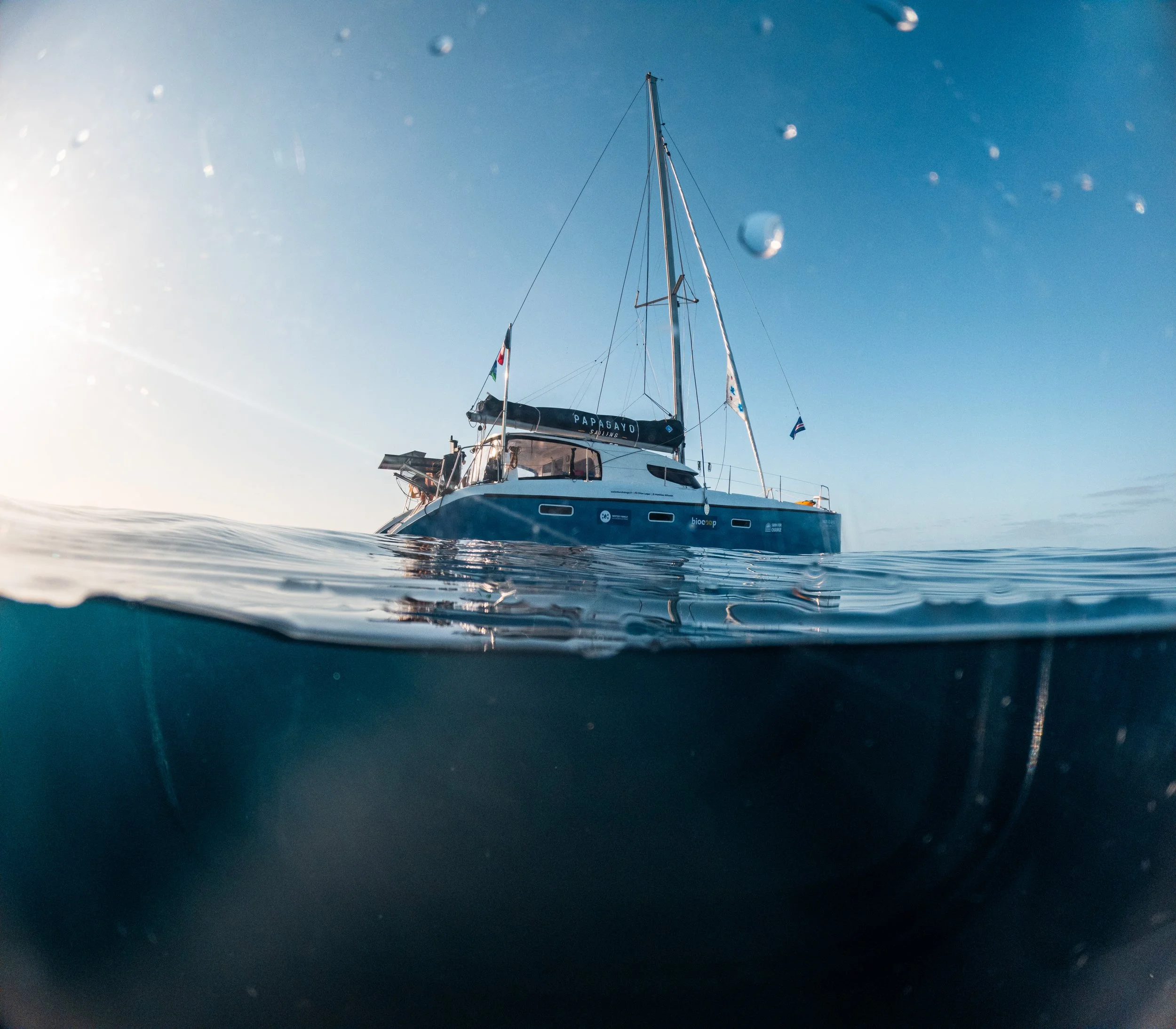 251101-C--DCIM-100GOPRO-GOPR1025.GPR--GOPR1025-SWIM FOR CHANGE.jpg