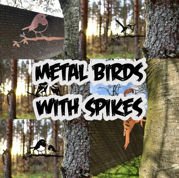Metal Bird Spikes Garden Art