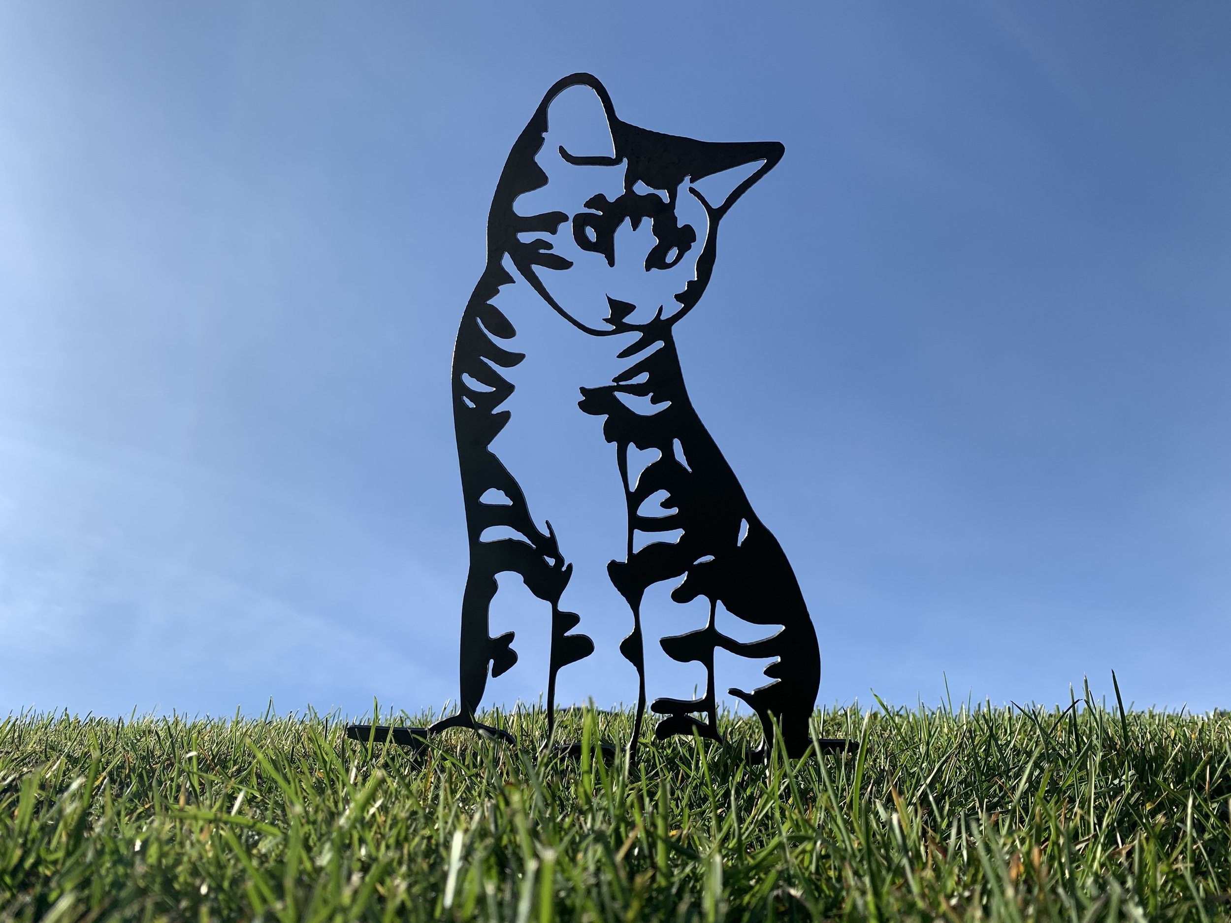 Rusty Tabby cat silhouette made from mild steel for garden decoration, naturally rusts over time