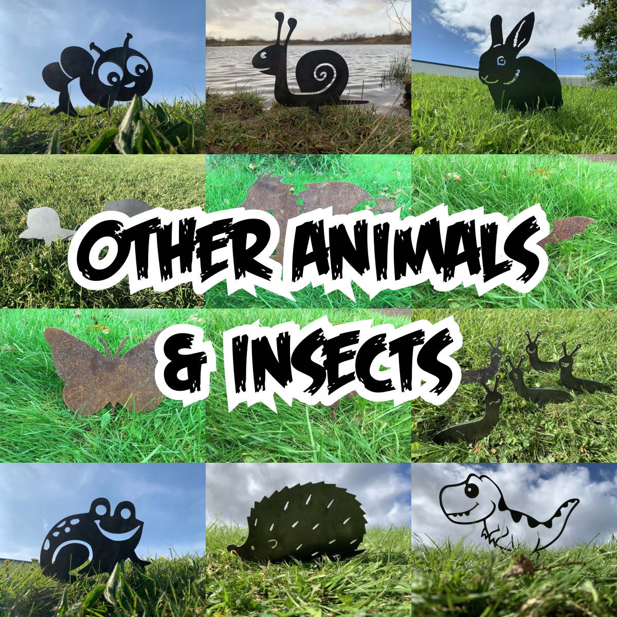 Other Animals & Insects
