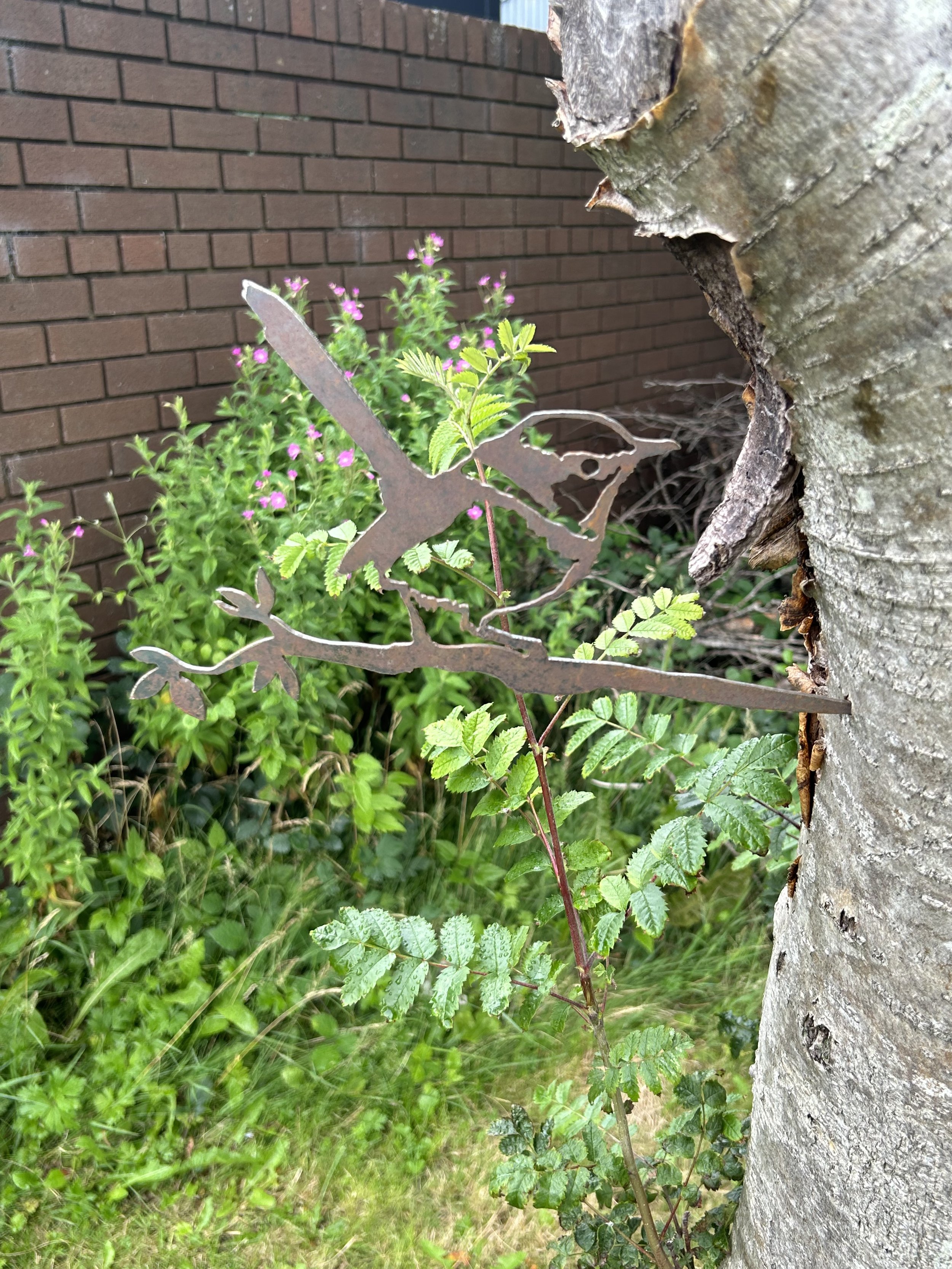 Wren on a Twig