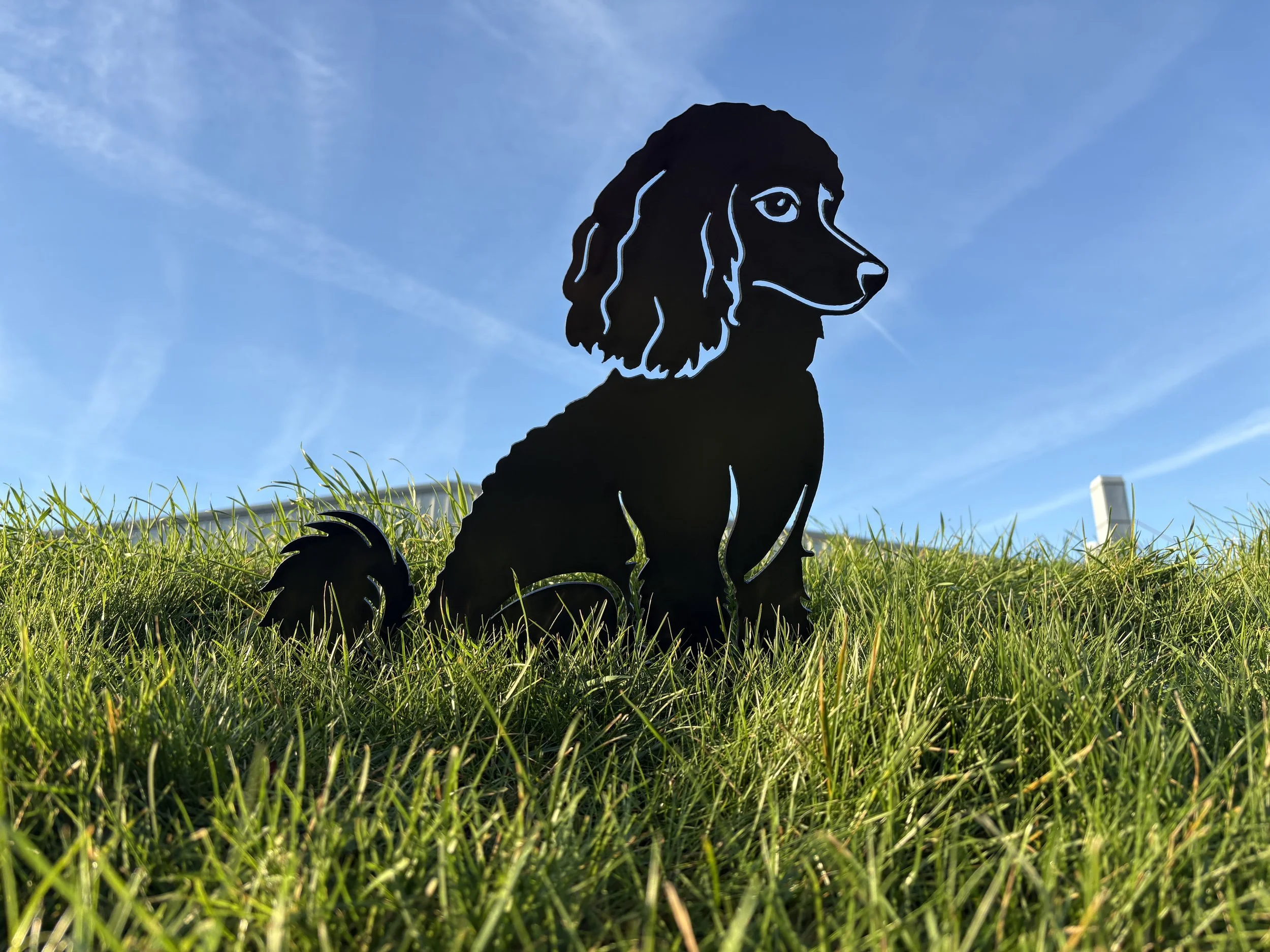 UK-made sitting poodle metal garden art cut from durable steel, creating a timeless silhouette for lawns or borders.