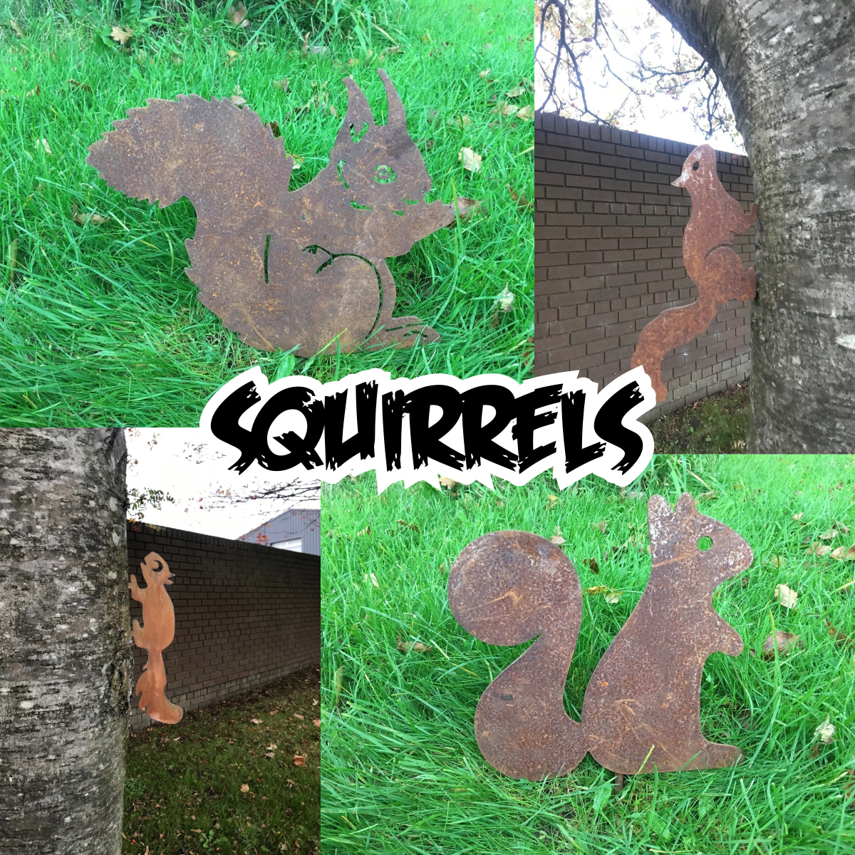 Squirrels