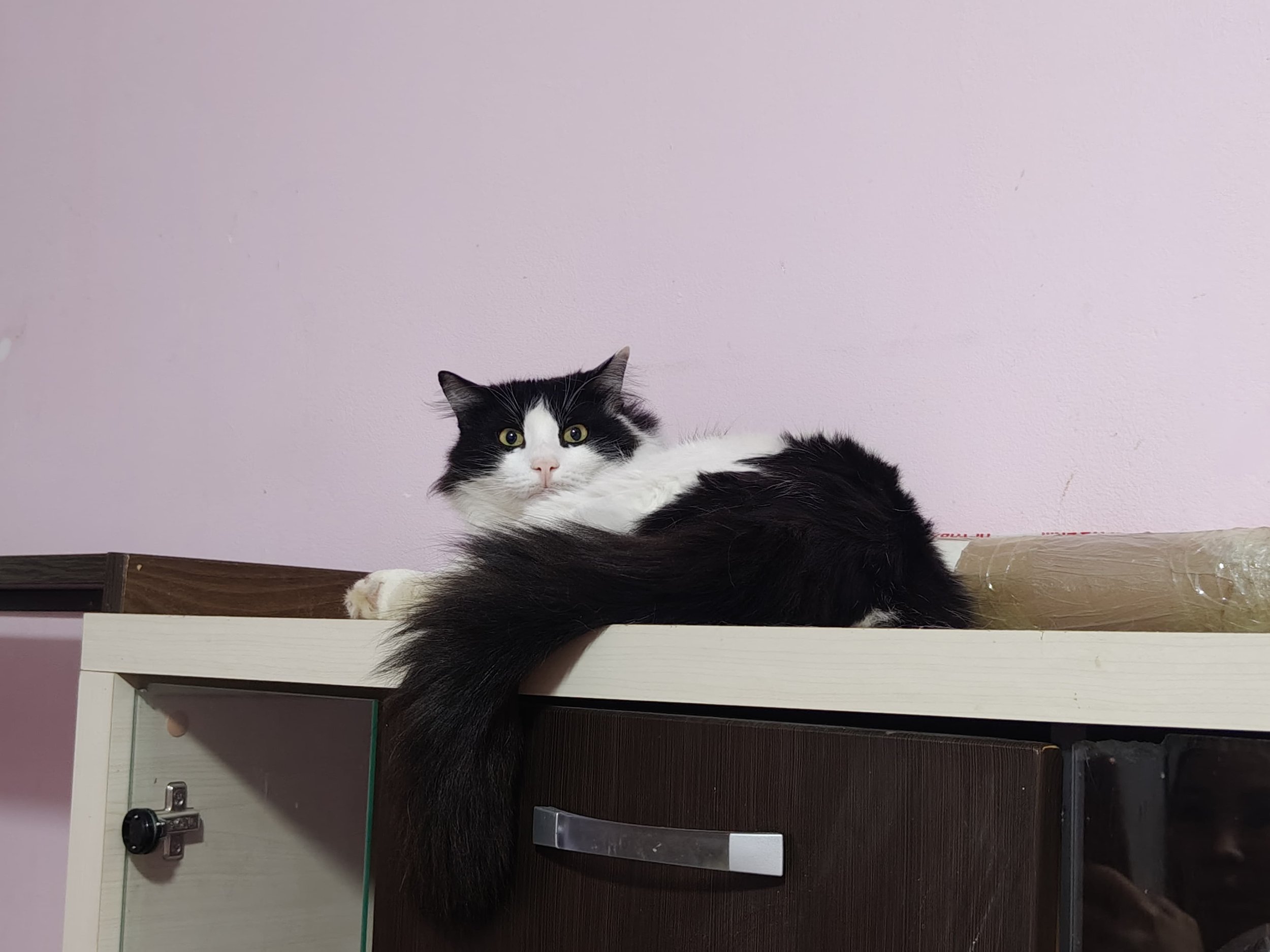 5474f280-75f1-4505-86c3-ca08b8691746.jpeg