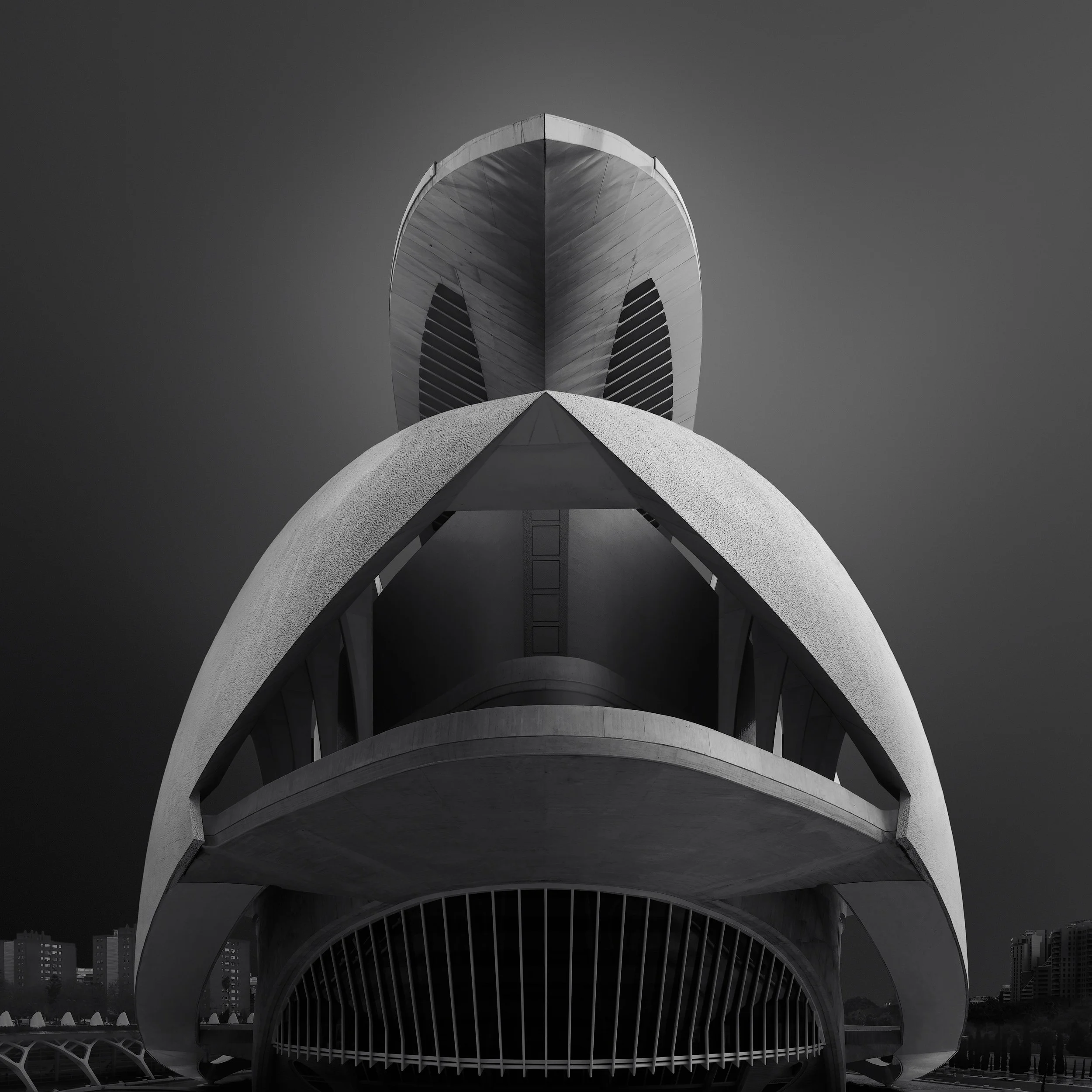 Structural expressionism in Valencia, Spain: A symmetrical monochromatic study of the Palau de les Arts Reina Sofía, designed by Santiago Calatrava. This architectural photograph captures the building’s iconic soaring roof and organic concrete shells