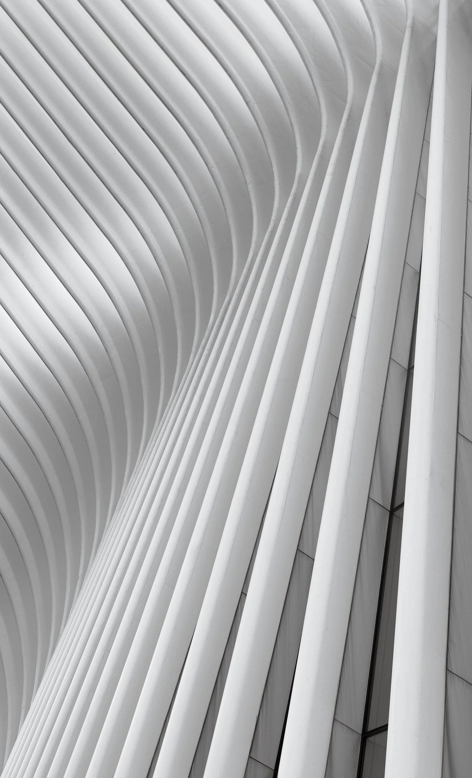 Contemporary transport architecture in Manhattan, New York: A dramatic monochromatic study of the Oculus at the World Trade Center, designed by Santiago Calatrava. This architectural photograph captures the rhythmic, rib-like steel structures of the 
