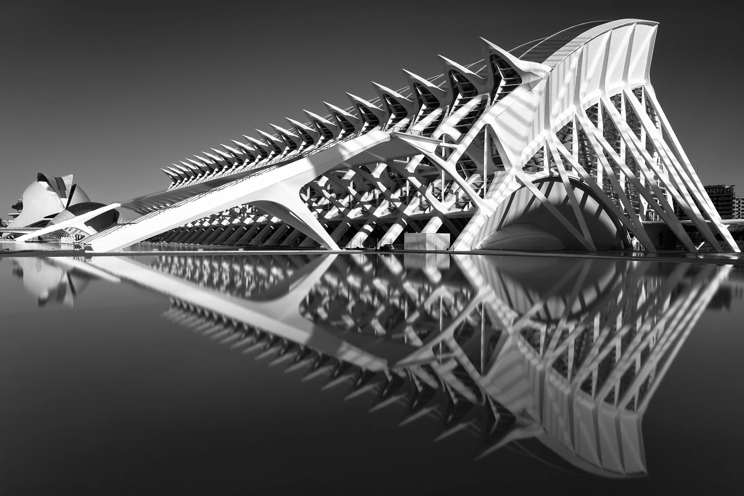 [architecture] [europe] [valencia] [blackandwhite] Calatrava's Science Museum Valencia B&W long exposure, vast white skeletal structure reflected in a still dark pool. Architectural Photography by Jim Scott.