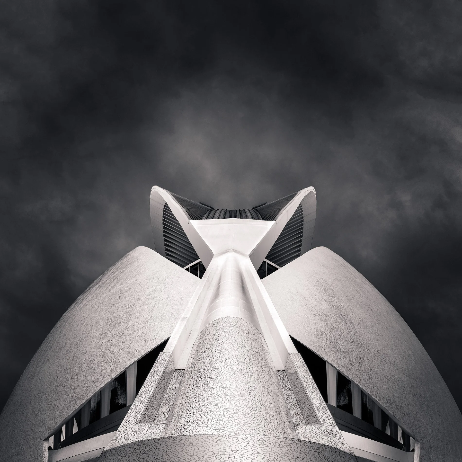 Futuristic cultural architecture in Valencia, Spain: A dramatic monochromatic study of the Palau de les Arts Reina Sofía, designed by Santiago Calatrava. This architectural photograph captures the symmetrical, organic curves and the soaring "feather"