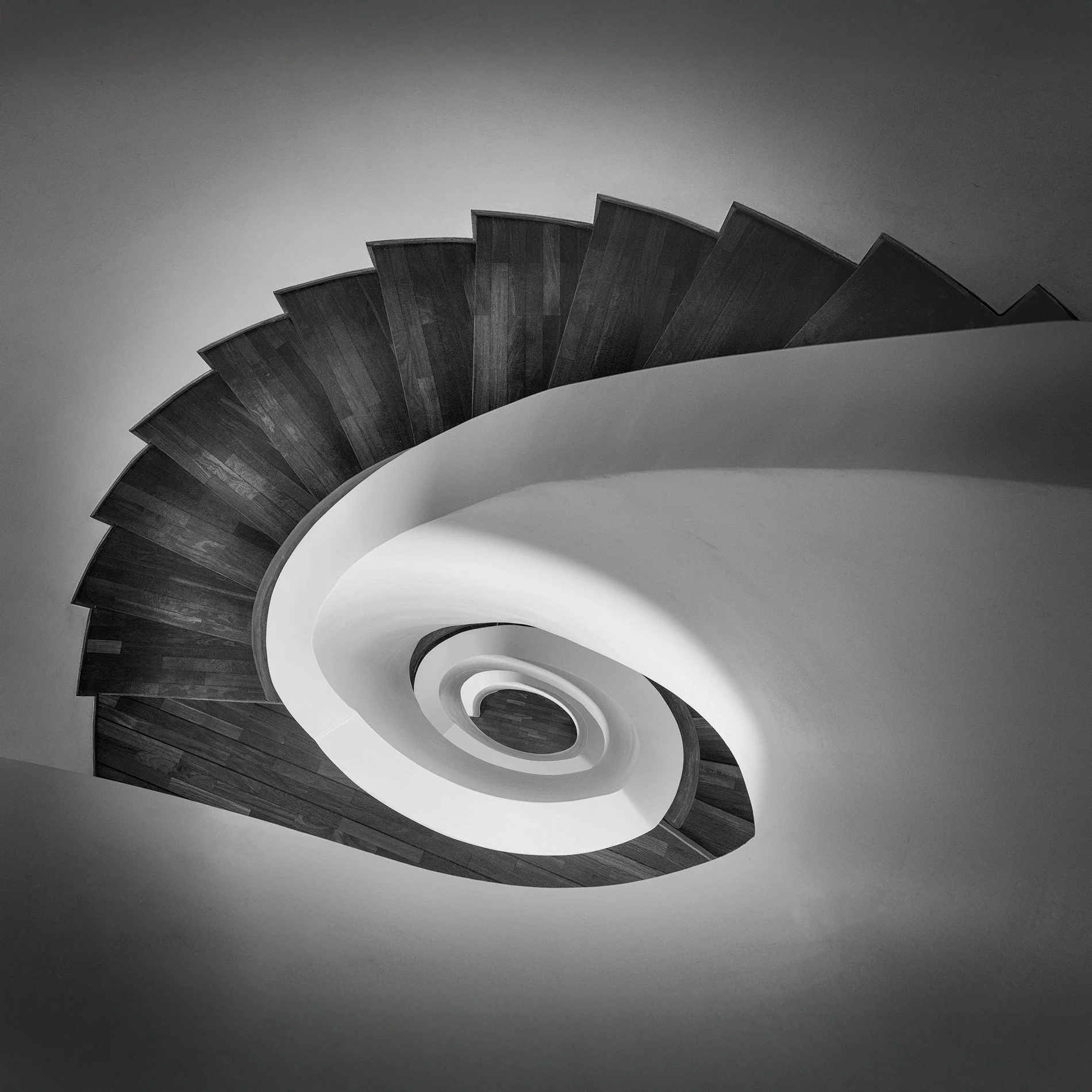 [architecture] [europe] [hamburg] [blackandwhite] [square] [internal] SIDE Design Hotel Hamburg spiral staircase from above, dark timber treads curving in a nautilus form to a glowing void. Architectural Photography by Jim Scott.