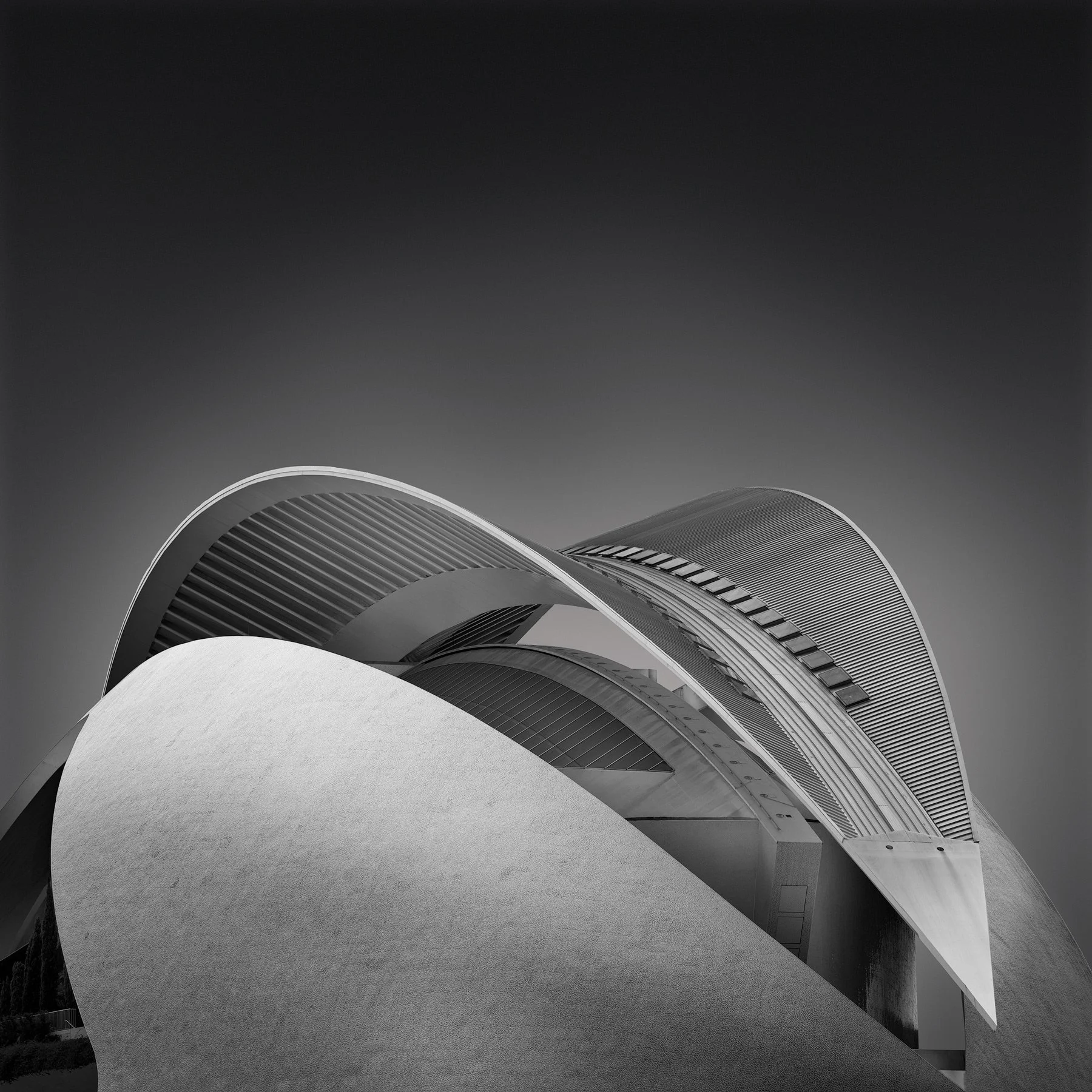 Neo-futuristic architecture in Valencia, Spain: A sculptural detail of the Palau de les Arts Reina Sofía (Opera House) by Santiago Calatrava. A minimalist black and white architectural abstract highlighting the intersection of curved concrete shells 