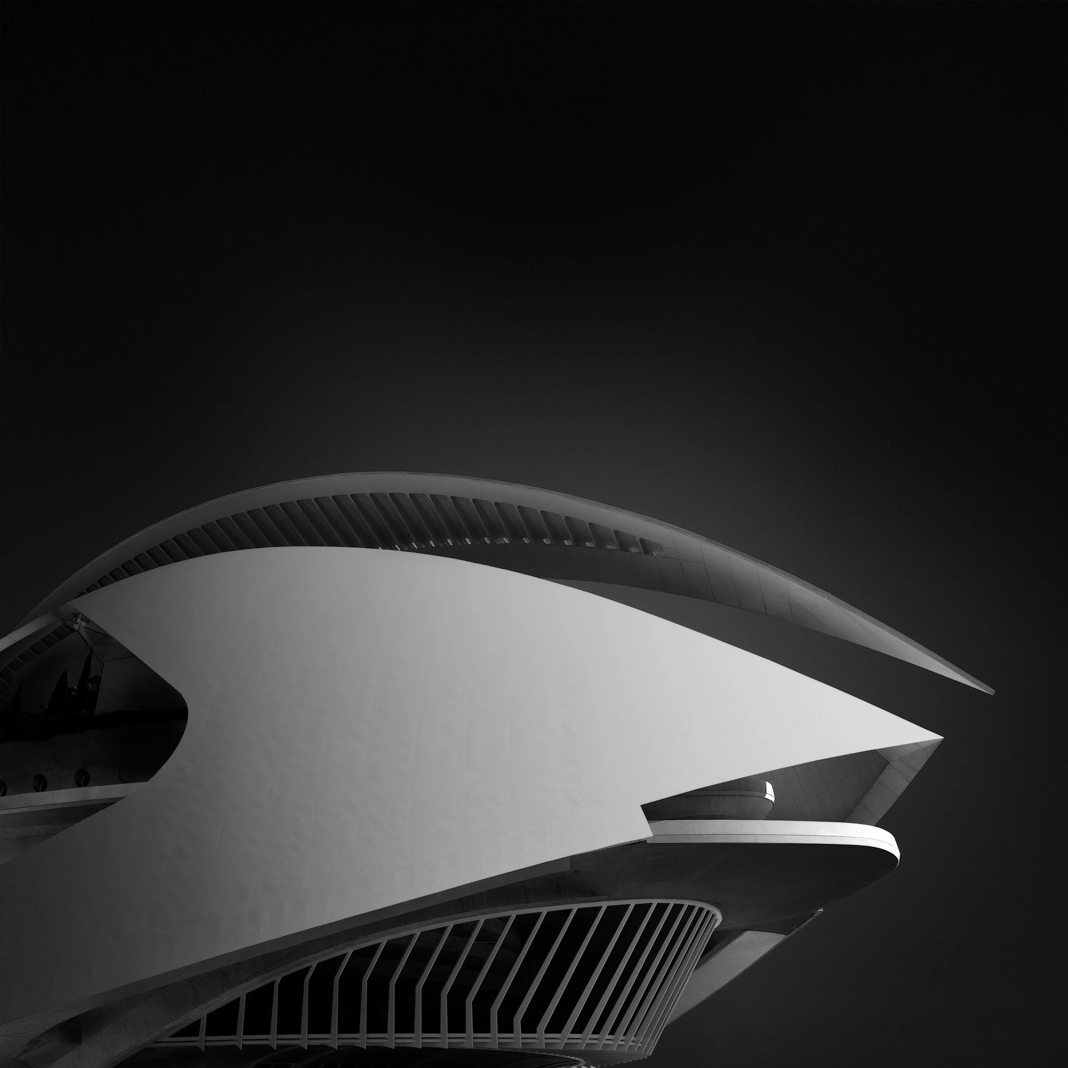 [architecture] [europe] [valencia] [blackandwhite] [square] Reina Sofía arts palace Valencia low angle, Calatrava's curved white outer shell and tail fin sweeping above dark base. Architectural Photography by Jim Scott.