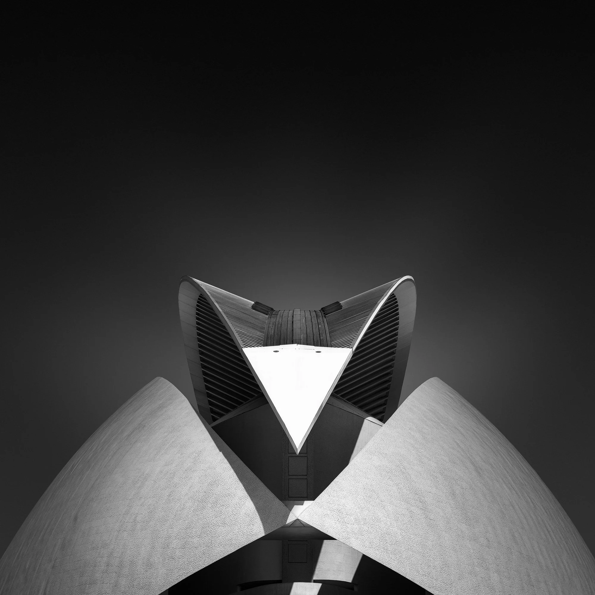 Neo-futuristic architecture in Valencia, Spain: A perfectly symmetrical front view of the Palau de les Arts Reina Sofía by Santiago Calatrava. A dramatic black and white architectural photograph capturing the towering 75-metre concrete shells and whi