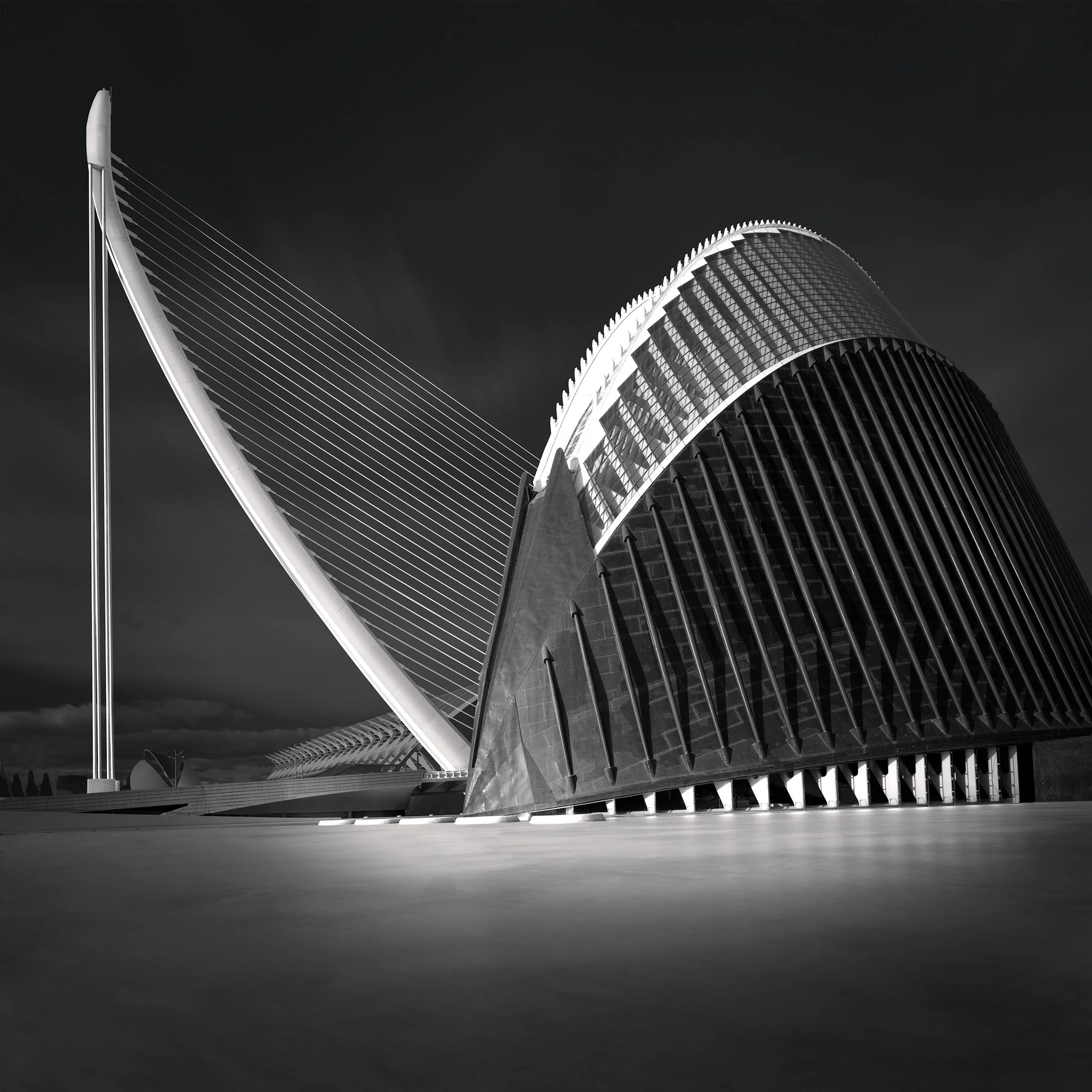 Futuristic civic and infrastructure architecture in Valencia, Spain: A dramatic monochromatic study of the Agora and the Assut de l'Or Bridge, designed by Santiago Calatrava. This architectural photograph captures the rhythmic, harp-like cables of th
