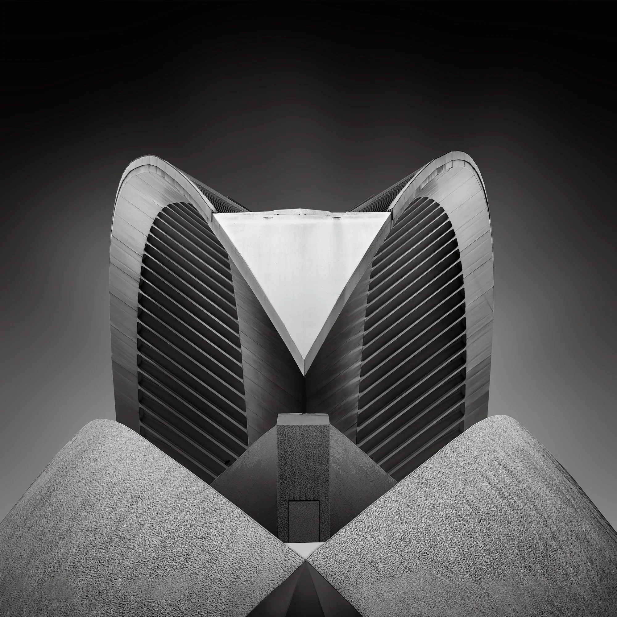 Neo-futuristic architecture in Valencia, Spain: A symmetrical black and white study of the Palau de les Arts Reina Sofía, designed by Santiago Calatrava. This high-contrast architectural photograph emphasises the building's skeletal, organic form and
