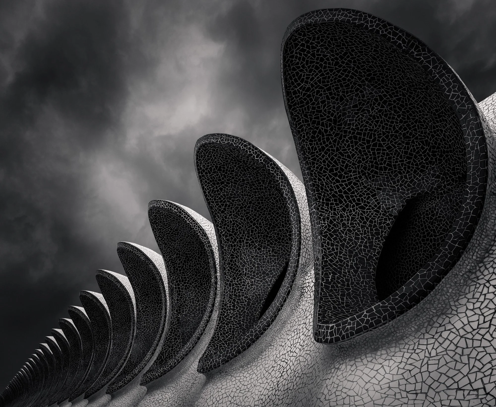 Organic architectural detail in Valencia, Spain: A monochromatic study of the trencadís mosaic cladding at the City of Arts and Sciences, designed by Santiago Calatrava. This photograph captures the rhythmic, sculptural forms of the exterior area of 