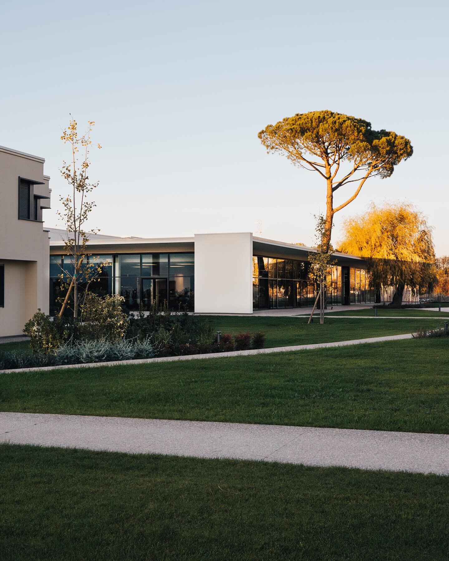Nuovi scorci dal nostro progetto di campus aziendale per un&rsquo;azienda internazionale specializzata in soluzioni tecnologiche all'avanguardia per la lavorazione e la classificazione della qualità dell&rsquo;ortofrutta. 

Le strutture, attualmente