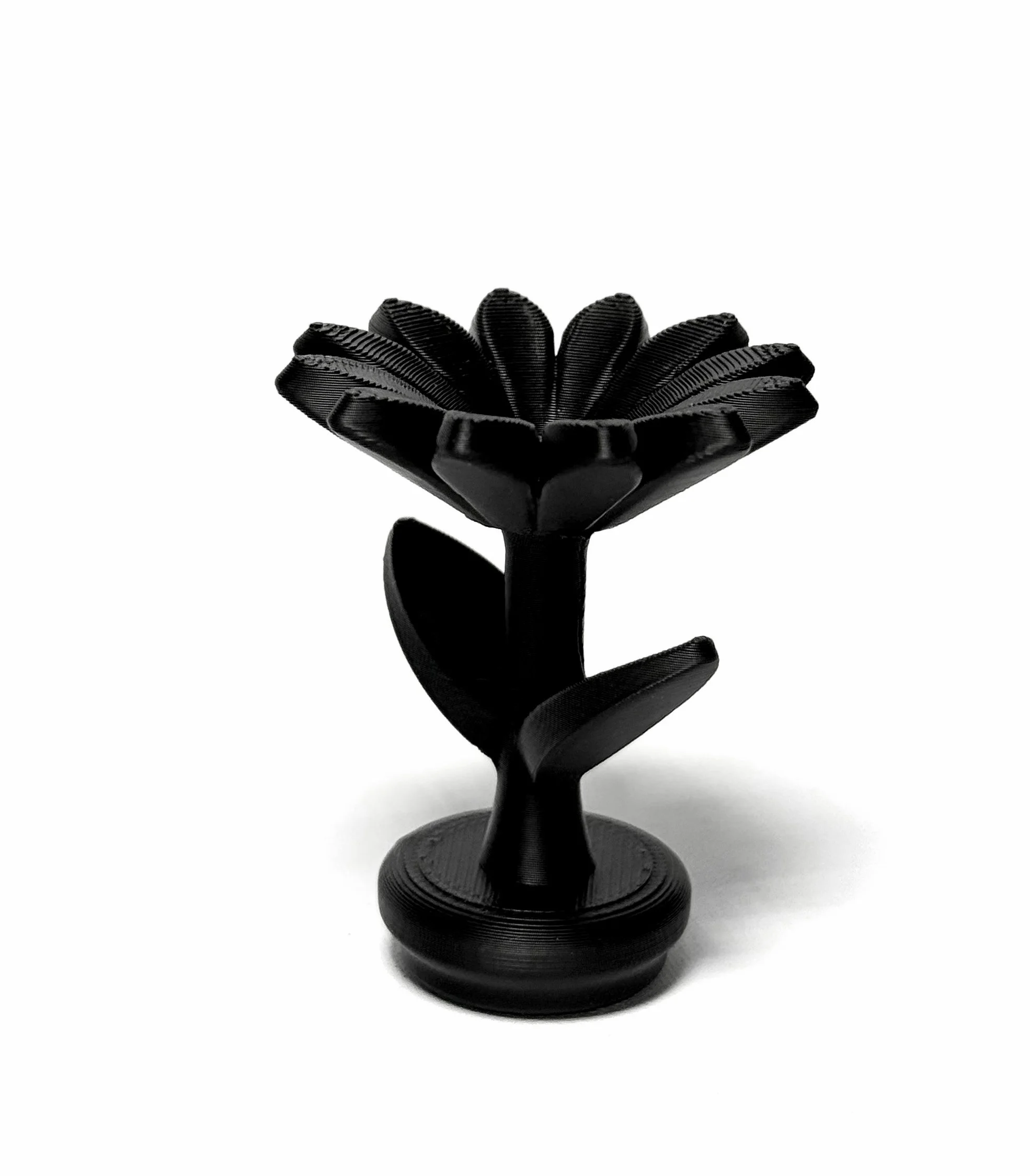 FLOWER.jpg