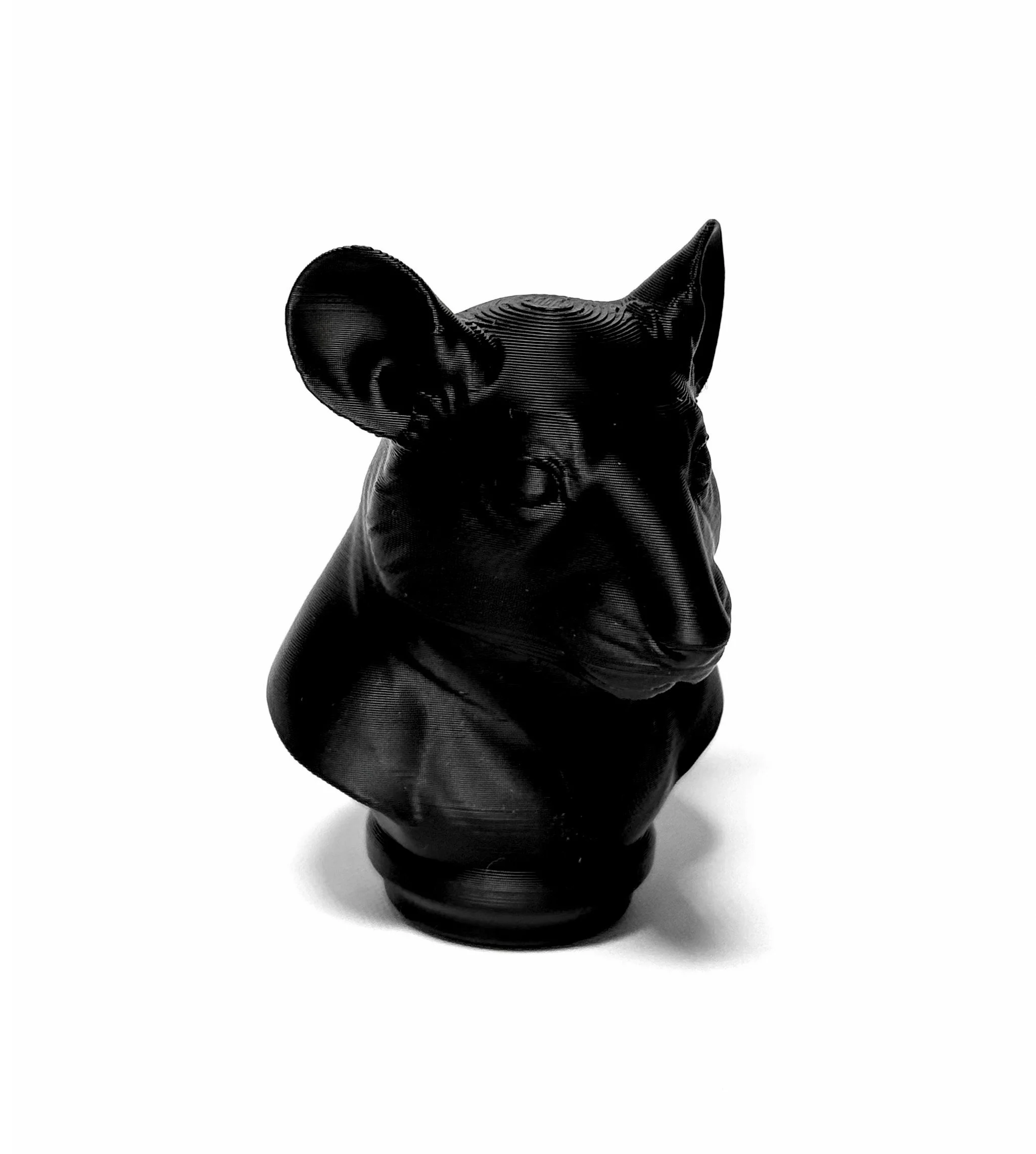 RAT.jpg