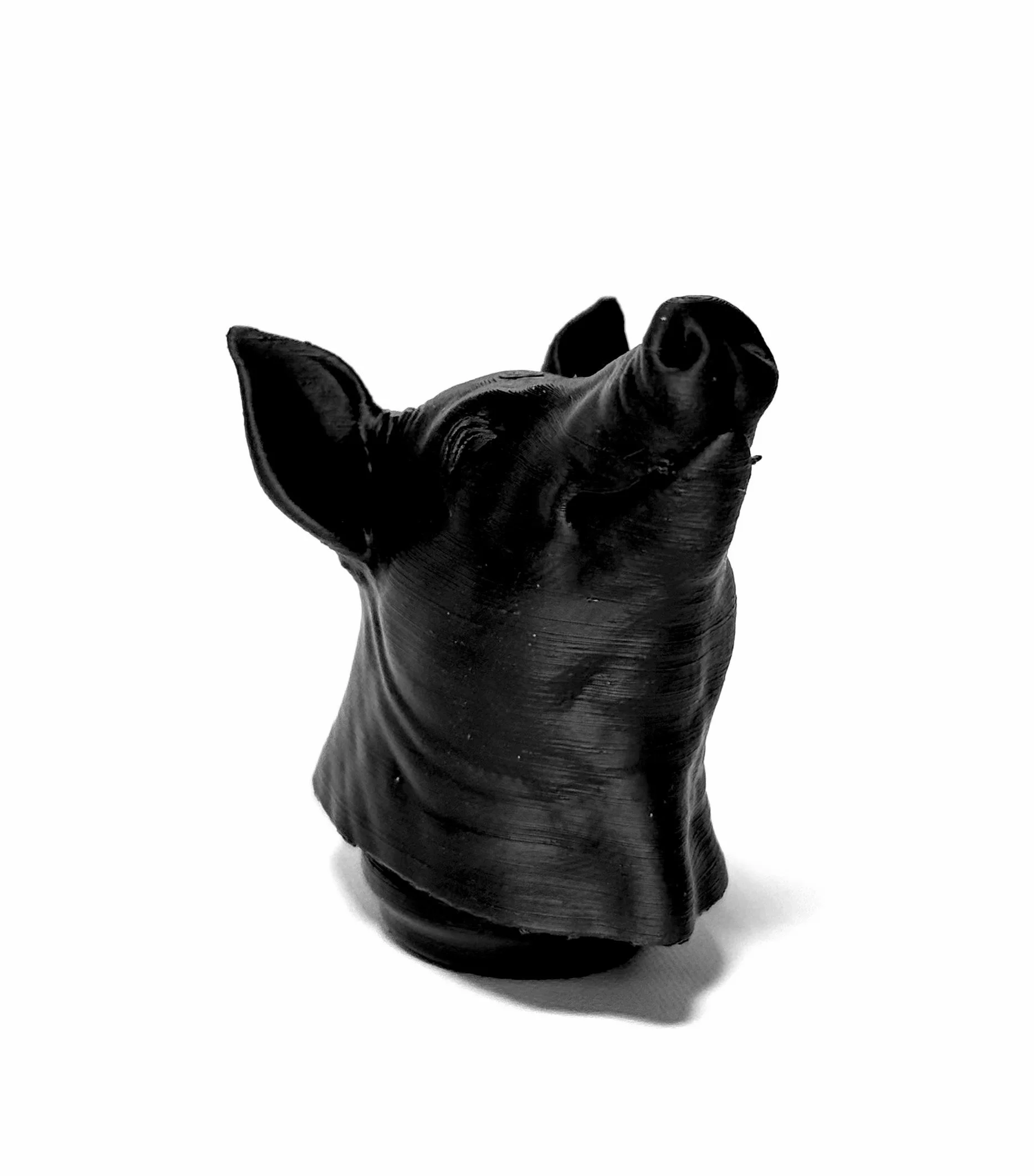 PIG.jpg