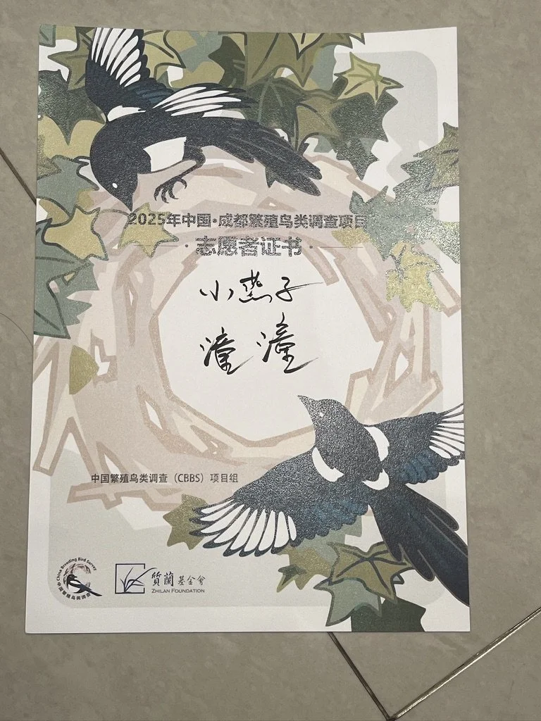 China Breeding Bird Survey Project-Core Surveyor Certificate