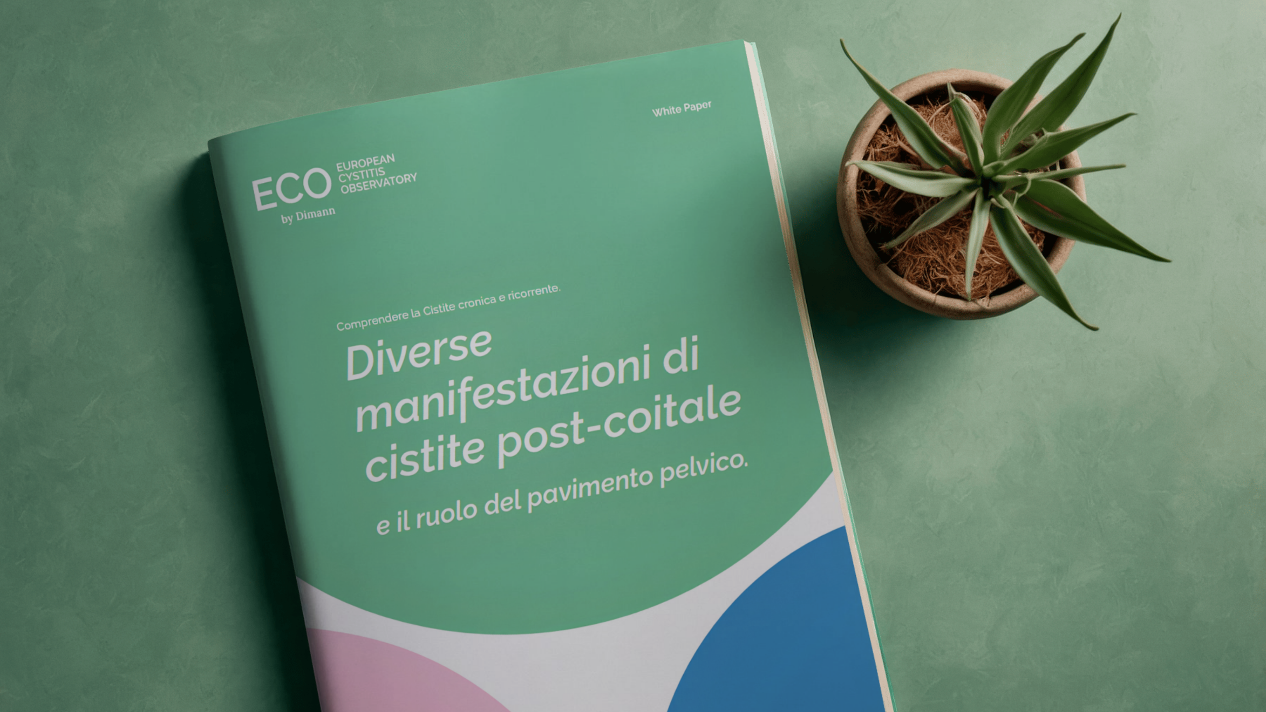 Osservatorio ECO