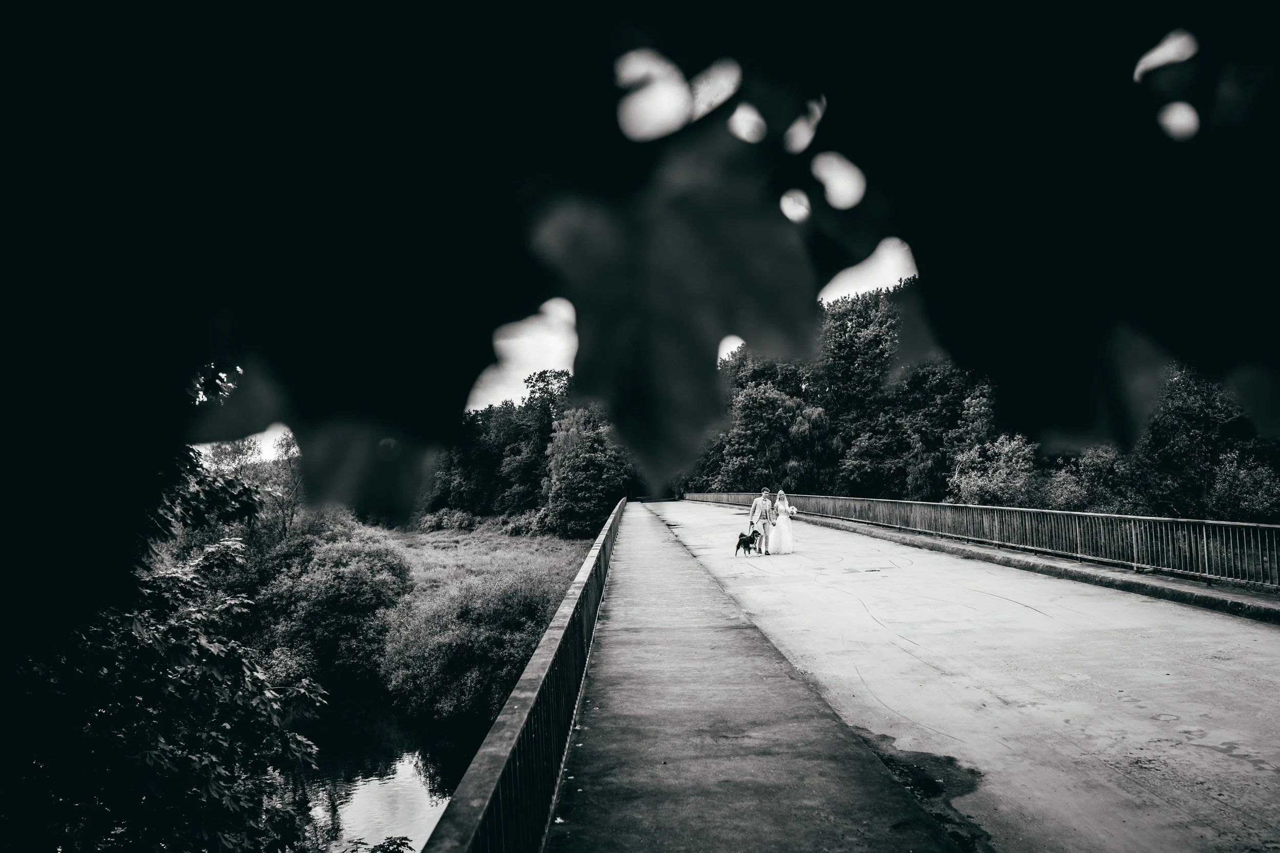 Paare mit Hund auf Brücke in schwarzer und weißer Fotografie, umgeben von Bäumen und Wasser
