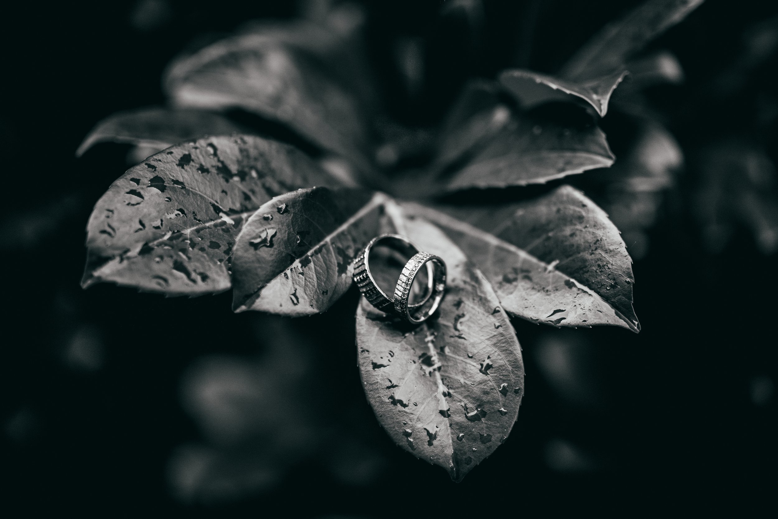 Janine & Casey-3945.jpg