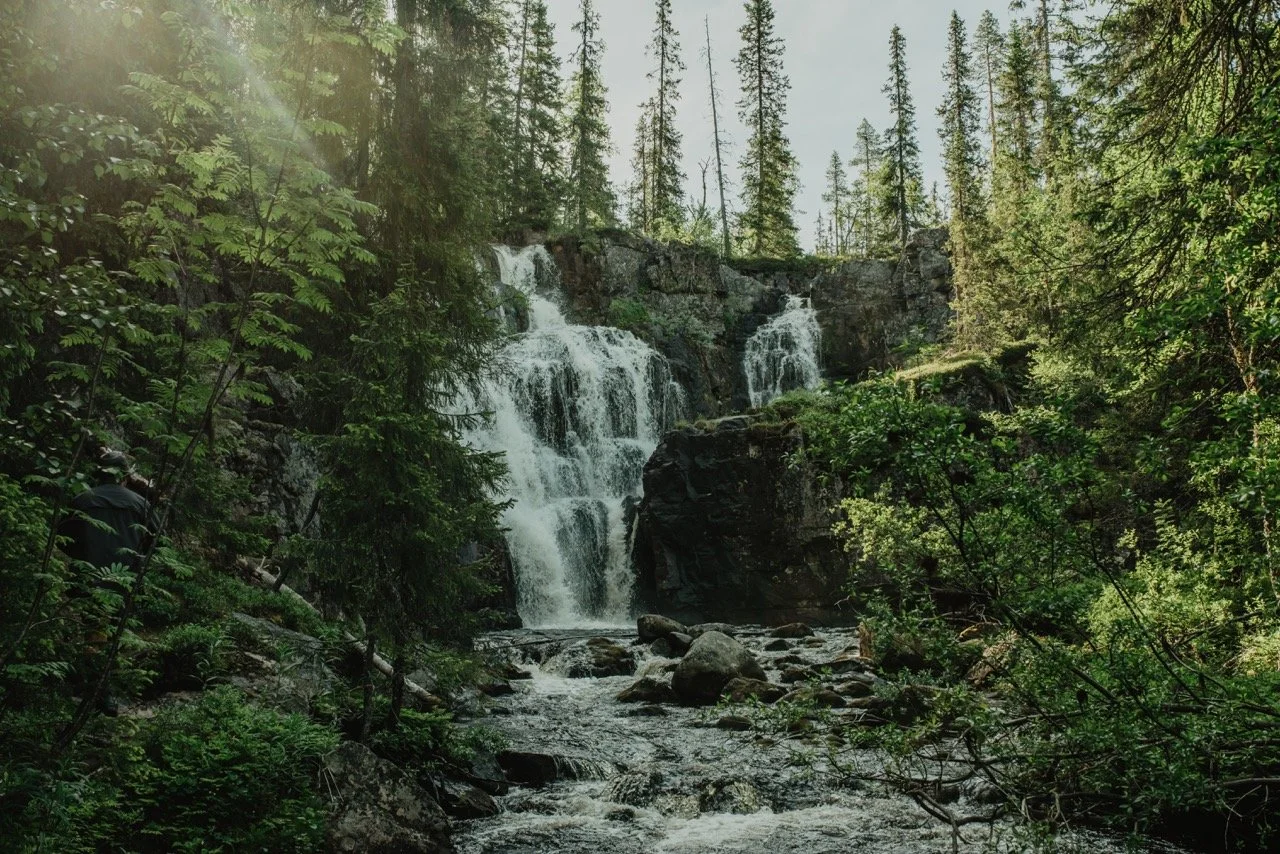 Trolska skogen brudslöjan Turistgården Särna.jpeg