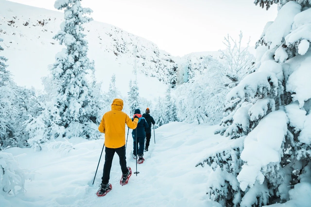 Turistgården Fulufjället Winter 3.jpeg