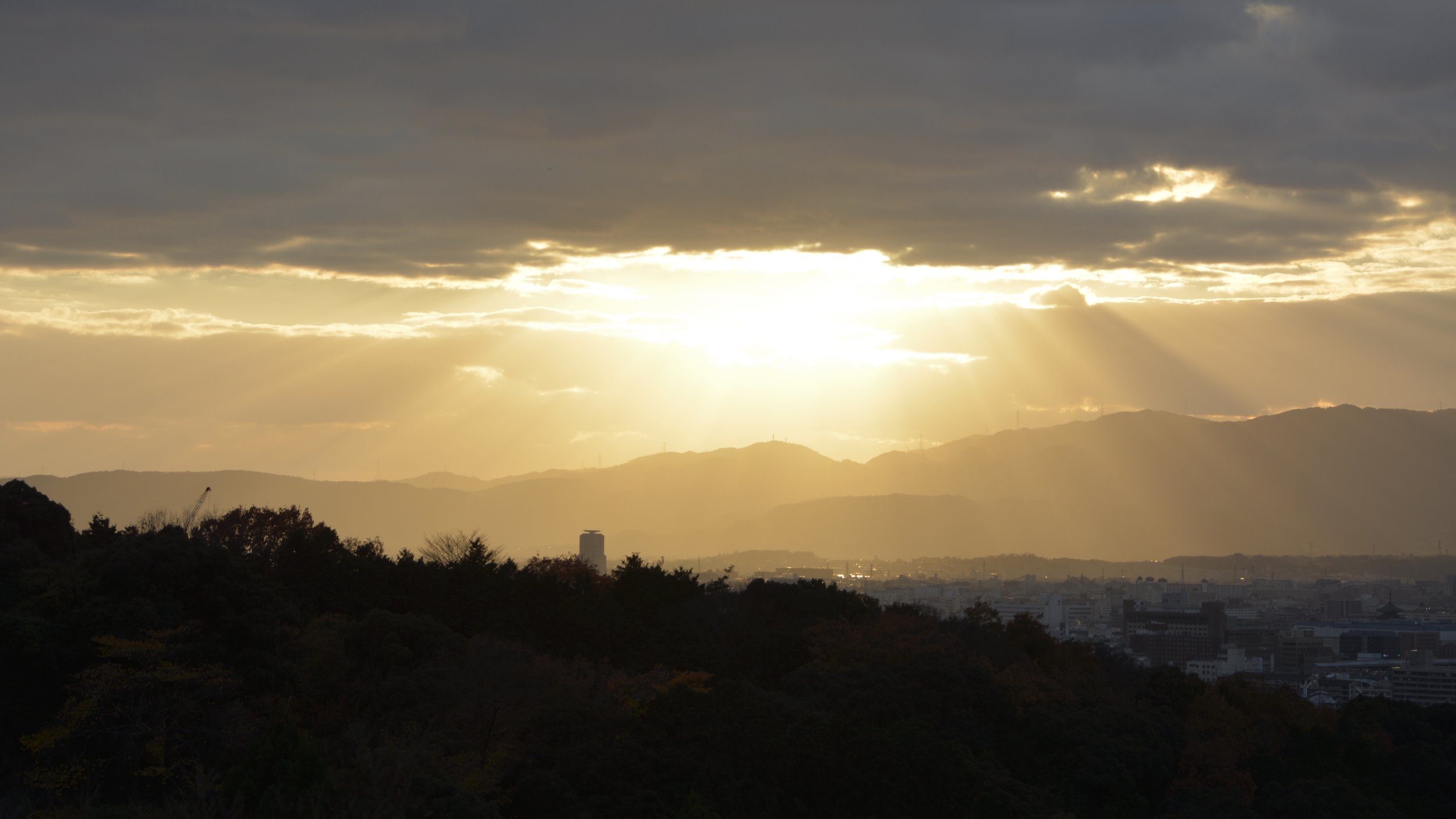 DSC_3297 2.JPG