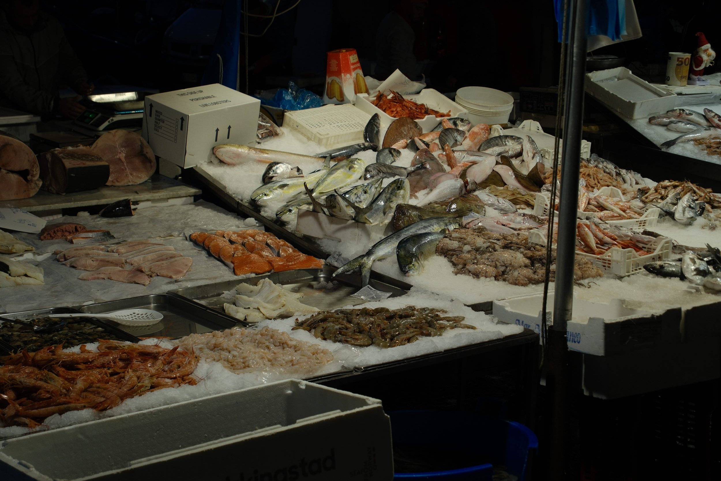 DSCF3060.jpg