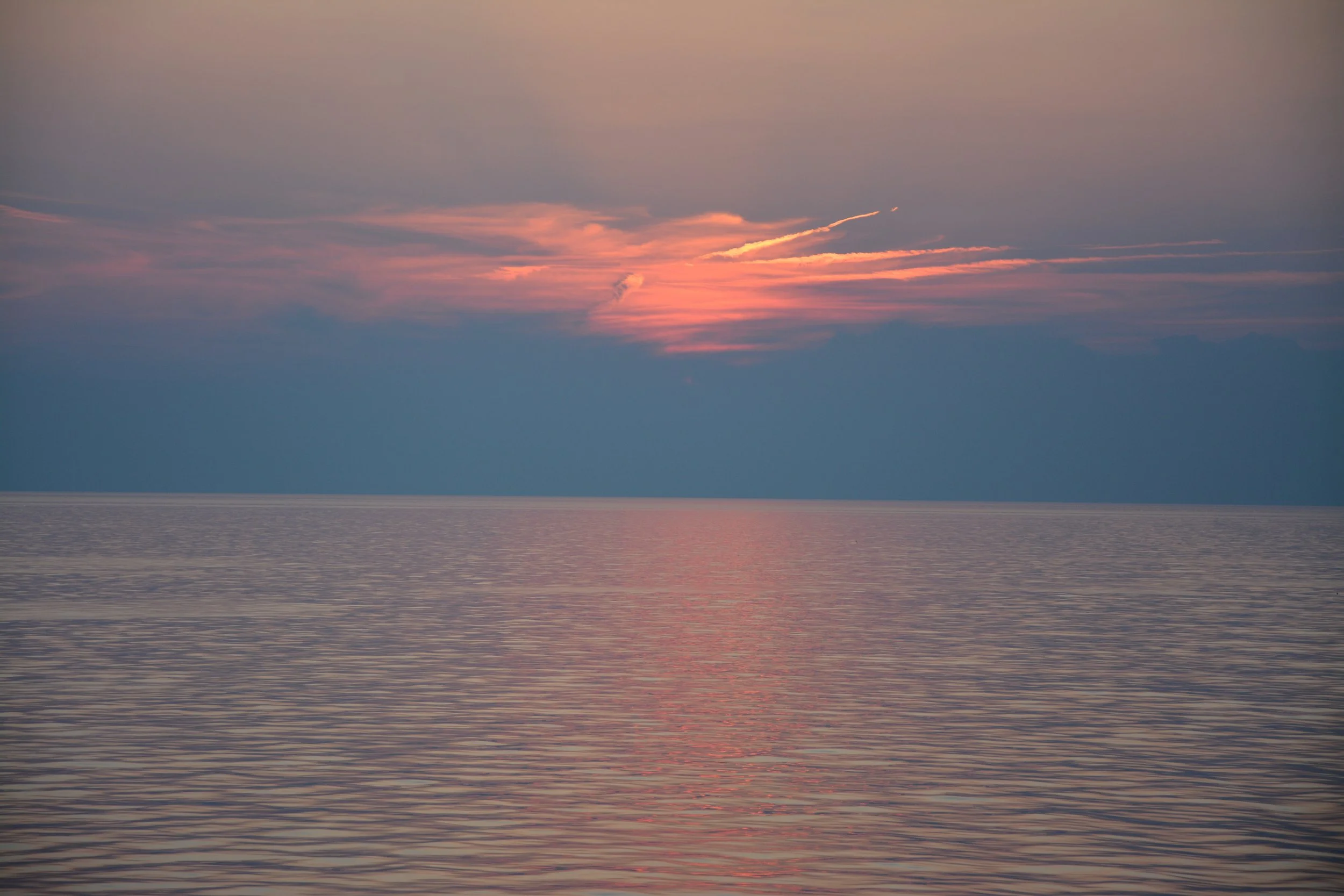 DSC_1782 2.JPG